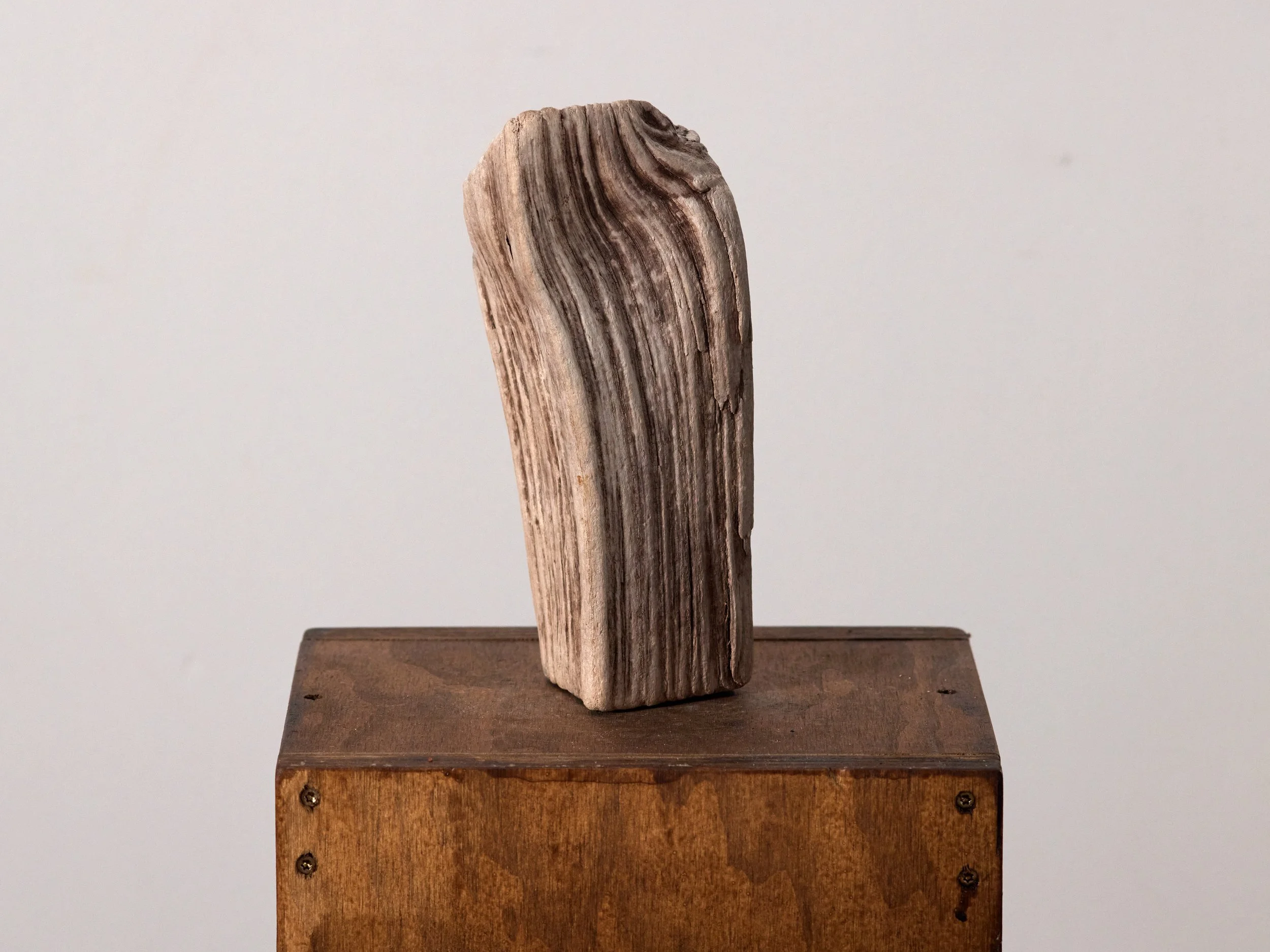 RockCollection_075.jpg