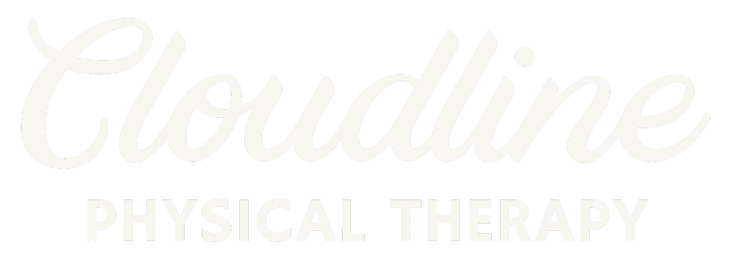 Cloudine Physical Therapy logo with the word 'Cloudine' in cursive and 'Physical Therapy' in uppercase block letters underneath