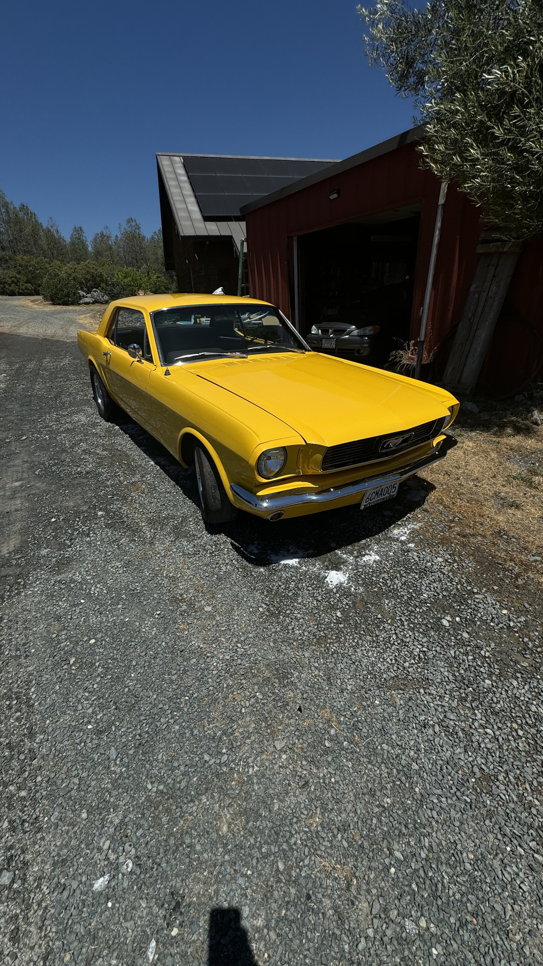 Mobile Detailing in Auburn!