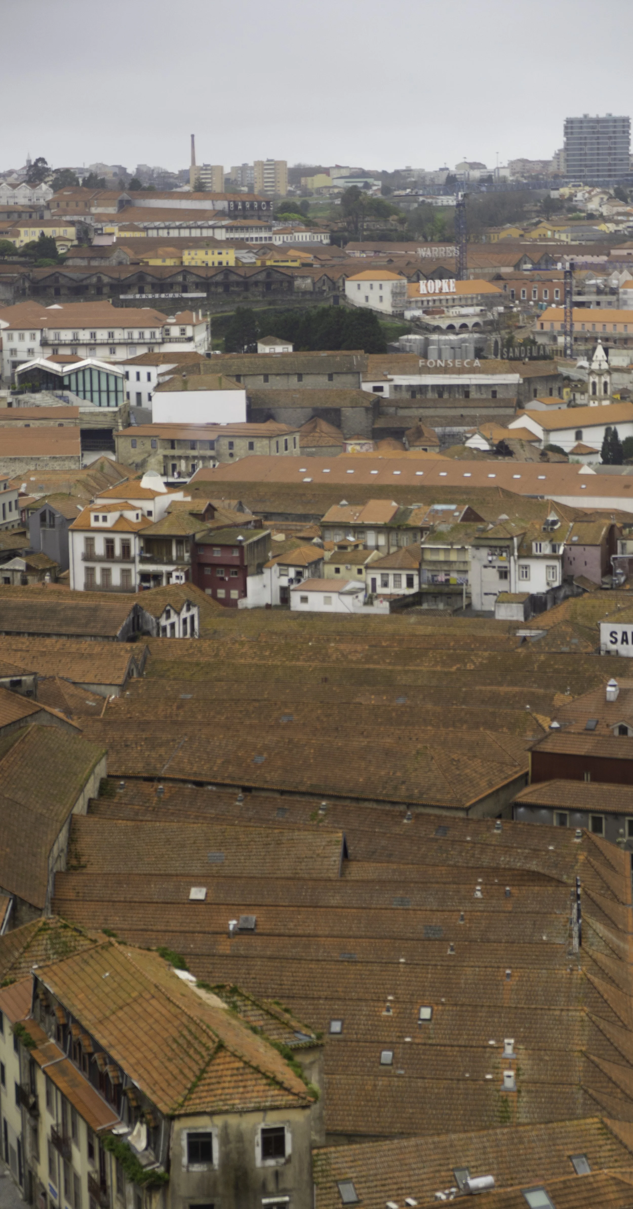 POR03974.jpg