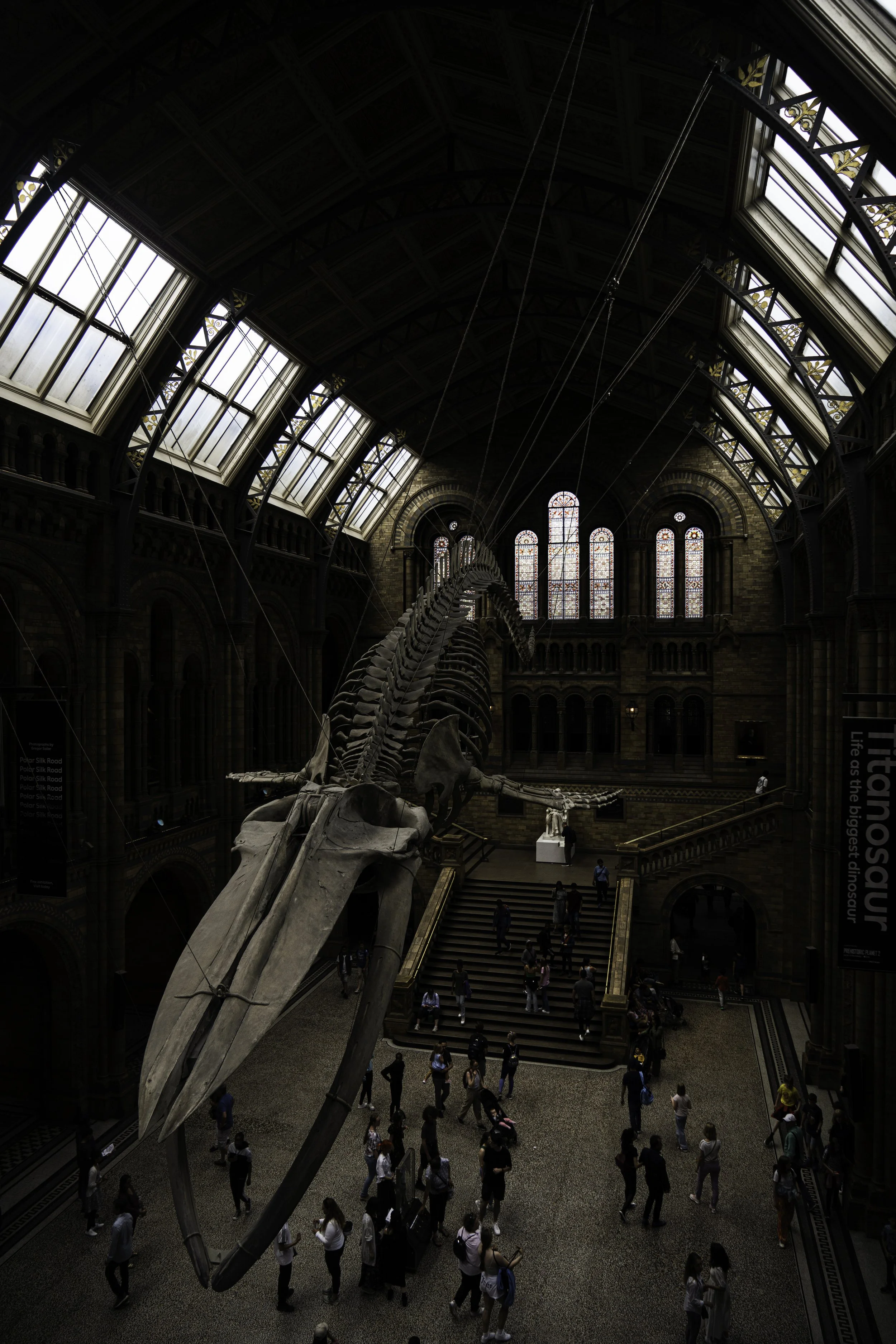 LON08052.jpg