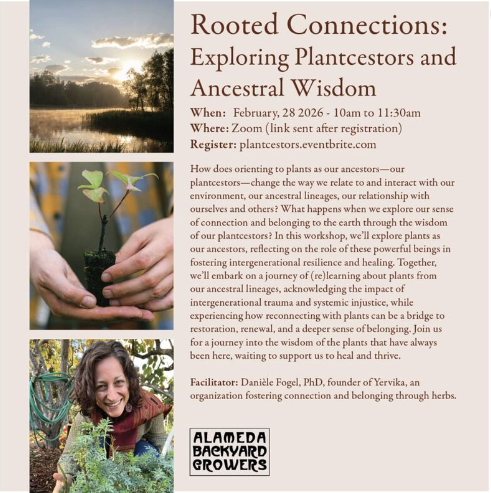 Rooted Connections: Exploring Plantcestors and Ancestral Wisdom