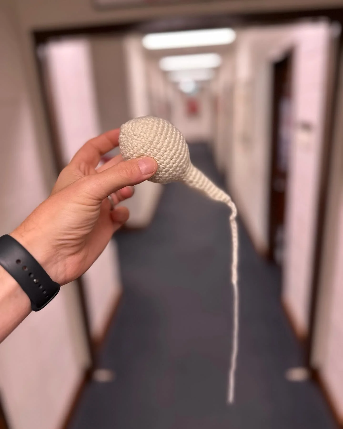 Shout out to Dr Anne Barnes @murdochuniversity who crocheted me this delightful little albino #tadpole  #notatadpole #spermatozoa #forensics