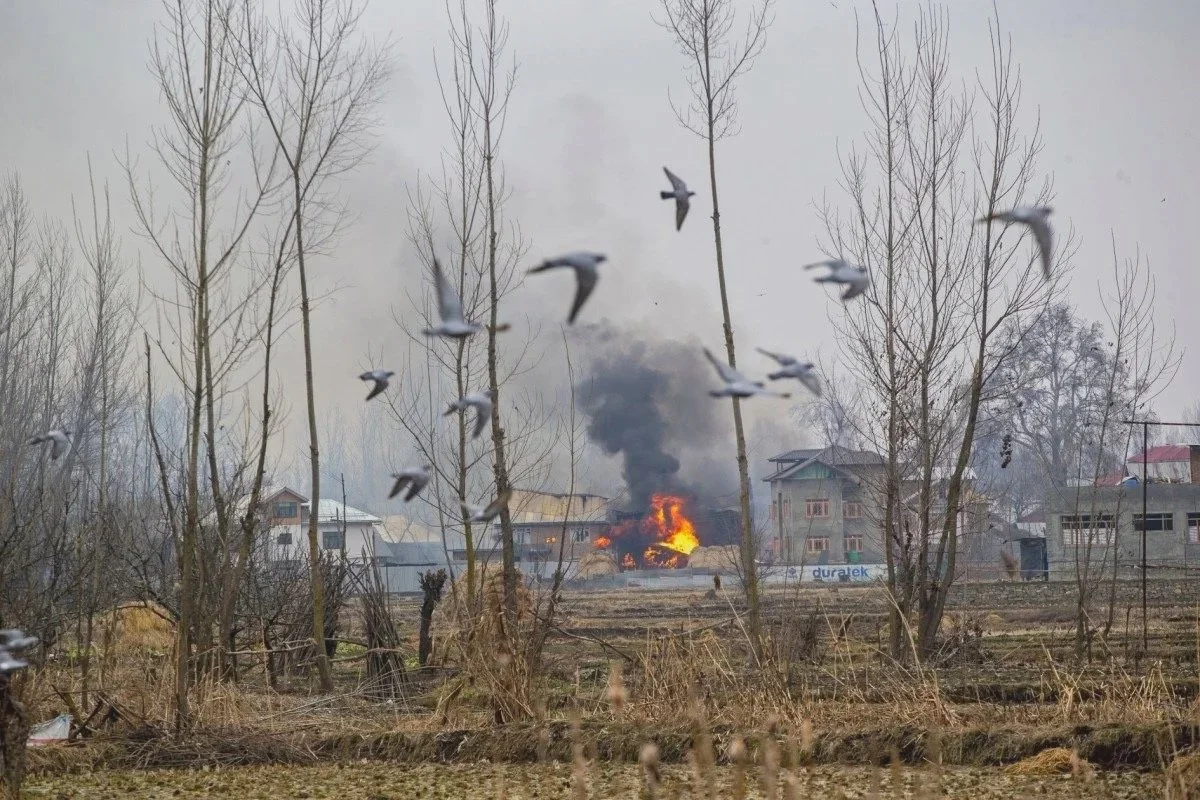 A fire burning in the distance with black smoke rising, surrounded by leafless trees and residential houses, and birds flying in the foreground during an overcast day.