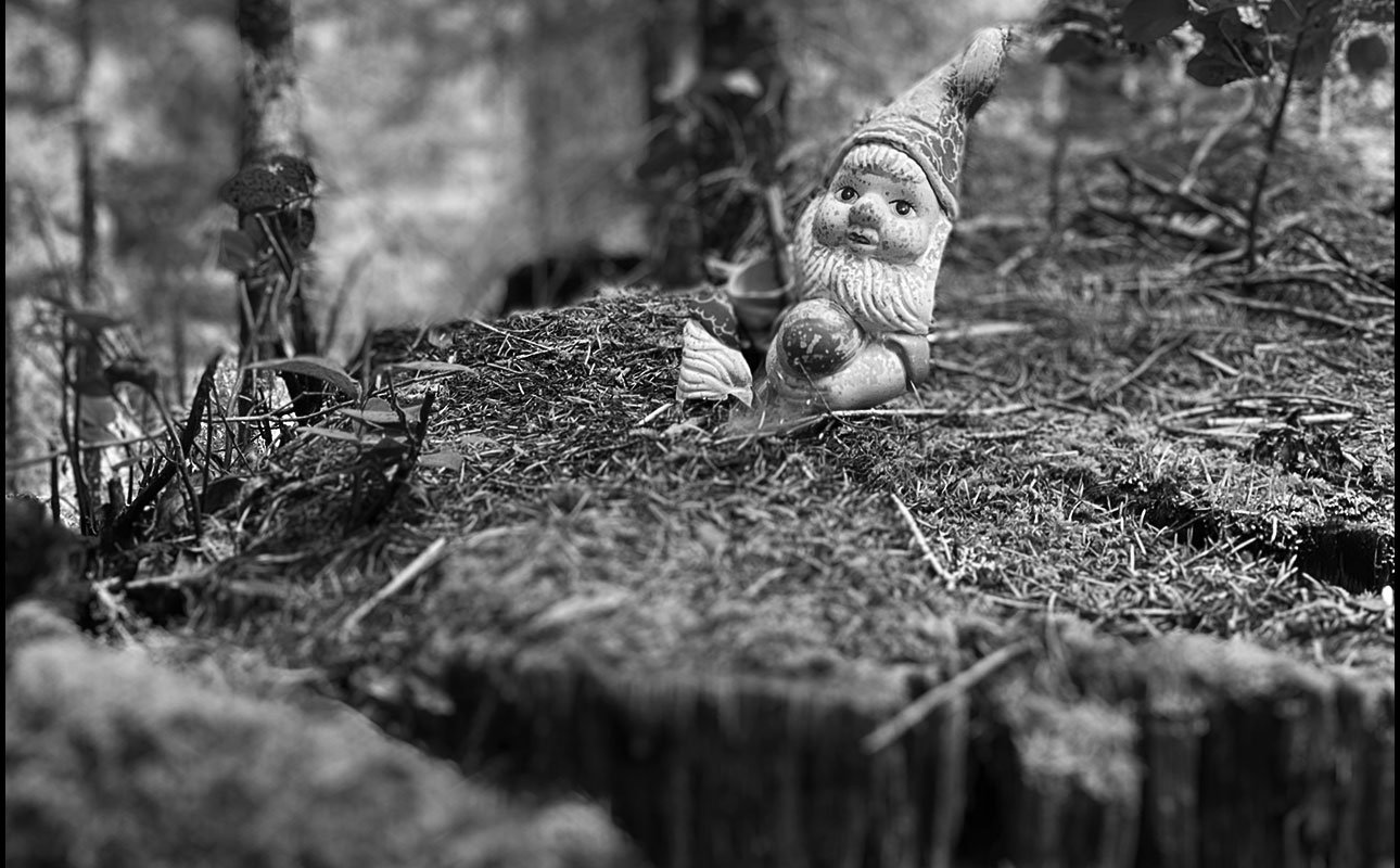 aGnome.jpg