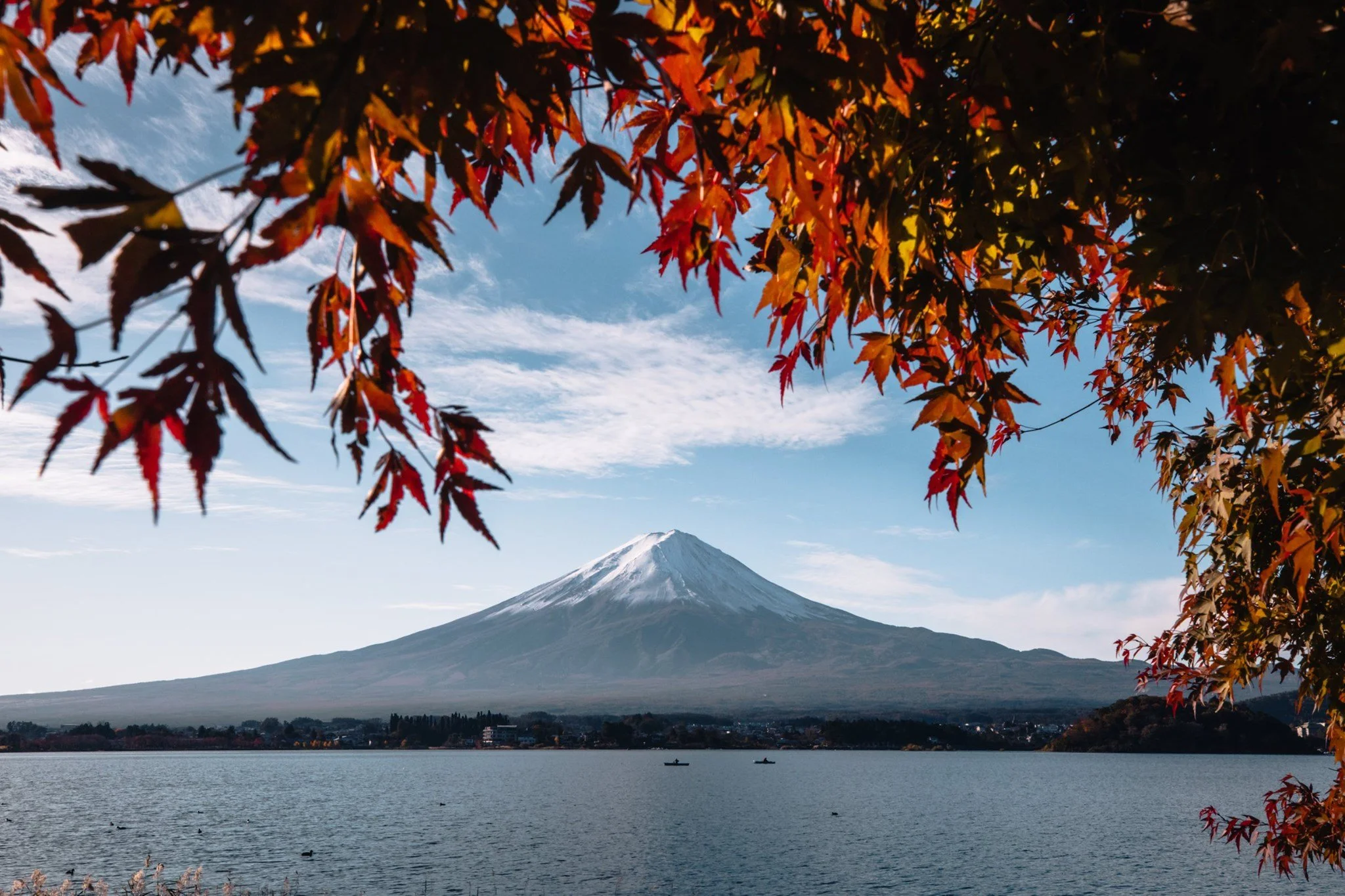 1-cityfoodsters-oishipark-yamanashi-japan.jpg