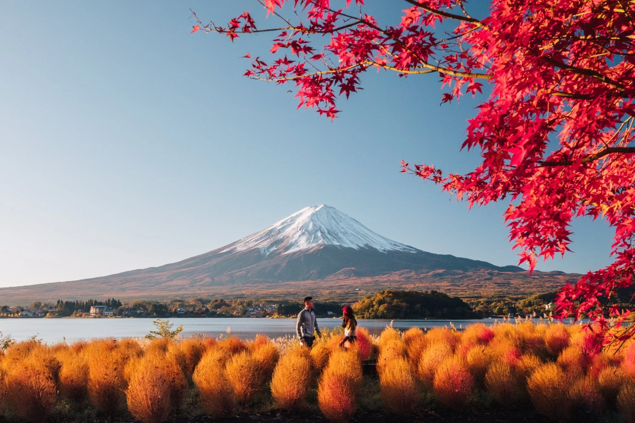 cityfoodsters-oishipark-yamanashi-japan.jpg