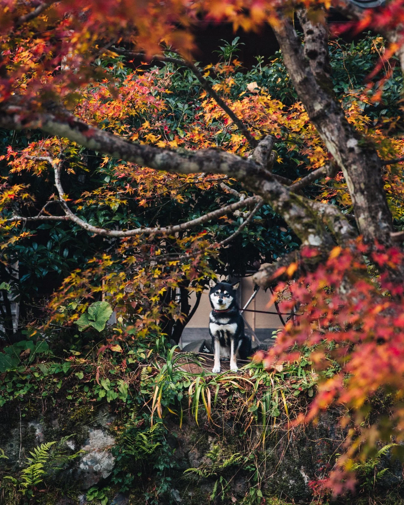 8-cityfoodsters-miyamasou-ryokan.jpg