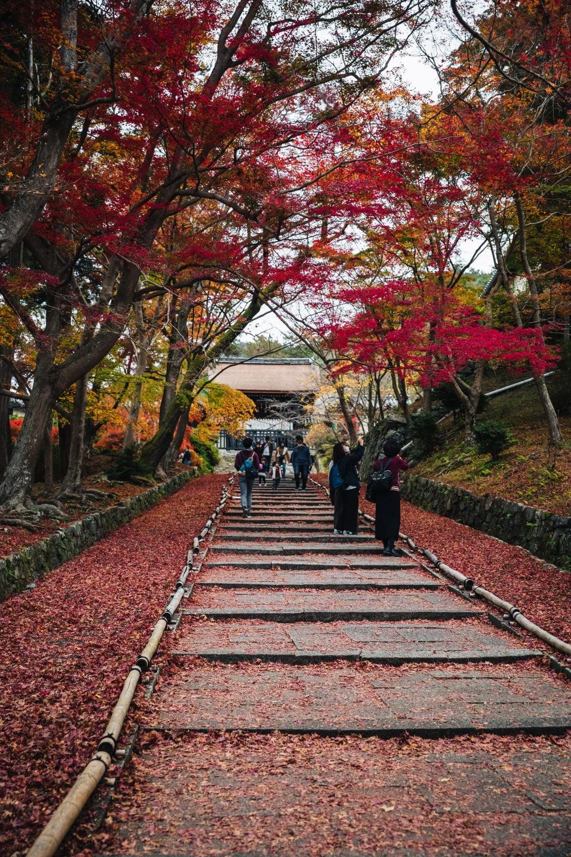 cityfoodsters-bishamondo-kyoto-japan-2.jpg
