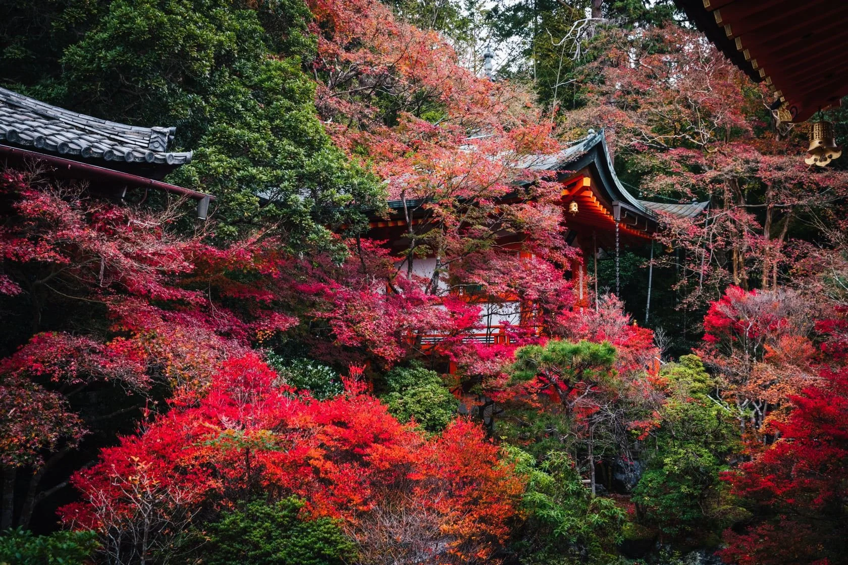 cityfoodsters-bishamondo-kyoto-japan-7.jpg