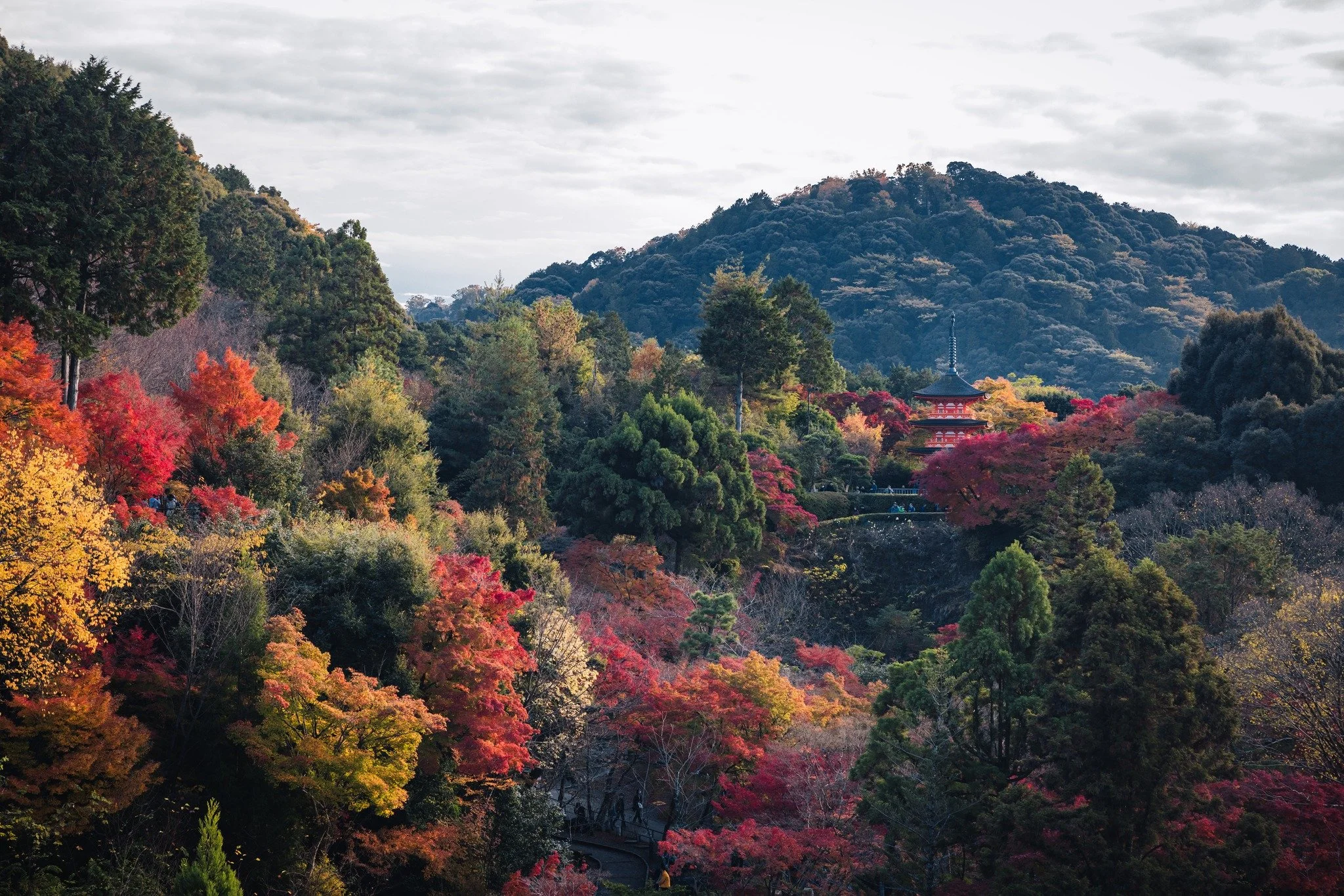 cityfoodsters-kiyomizu-dera-kyoto-japan-7.jpg