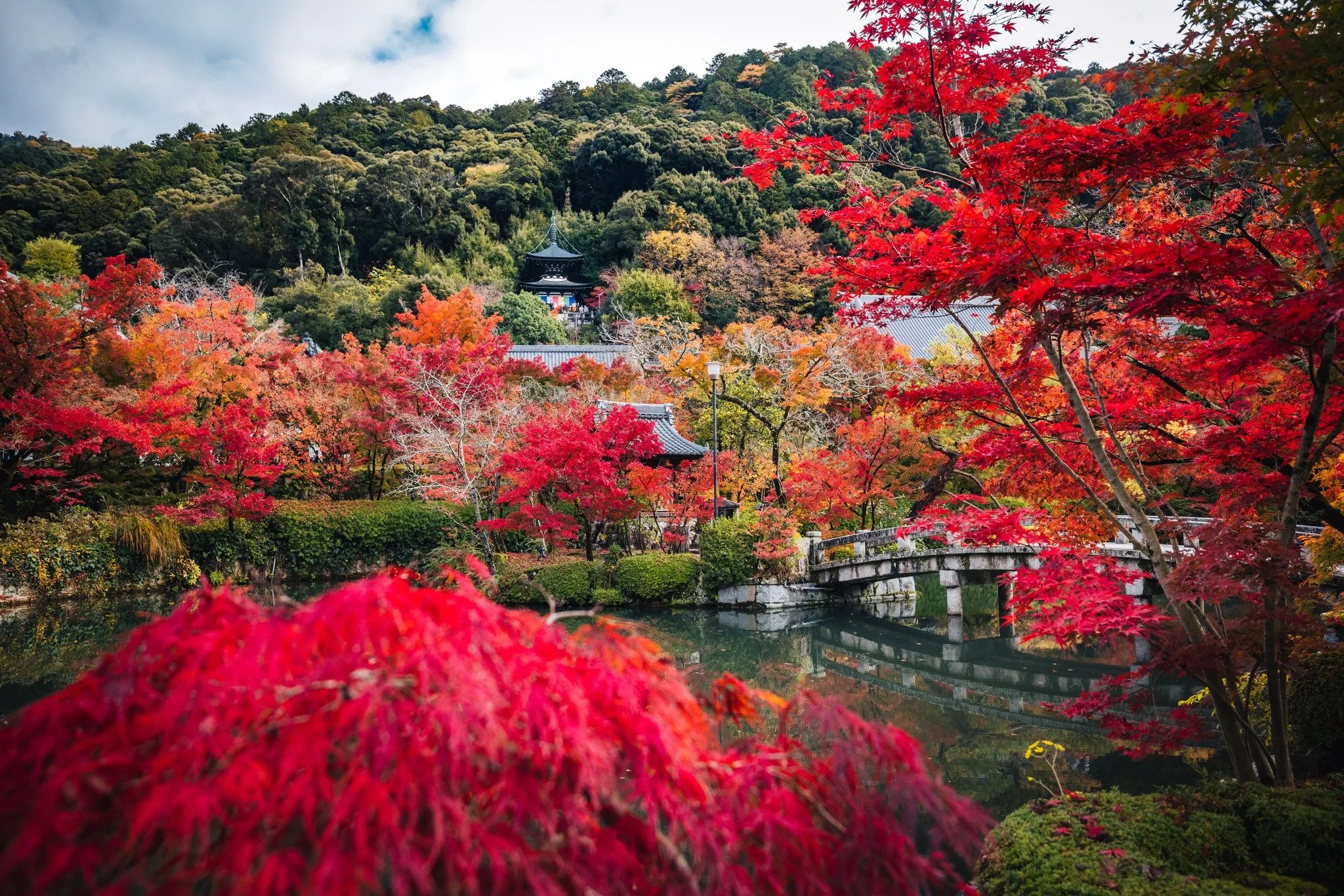 cityfoodsters-eikando-kyoto-japan-1.jpg