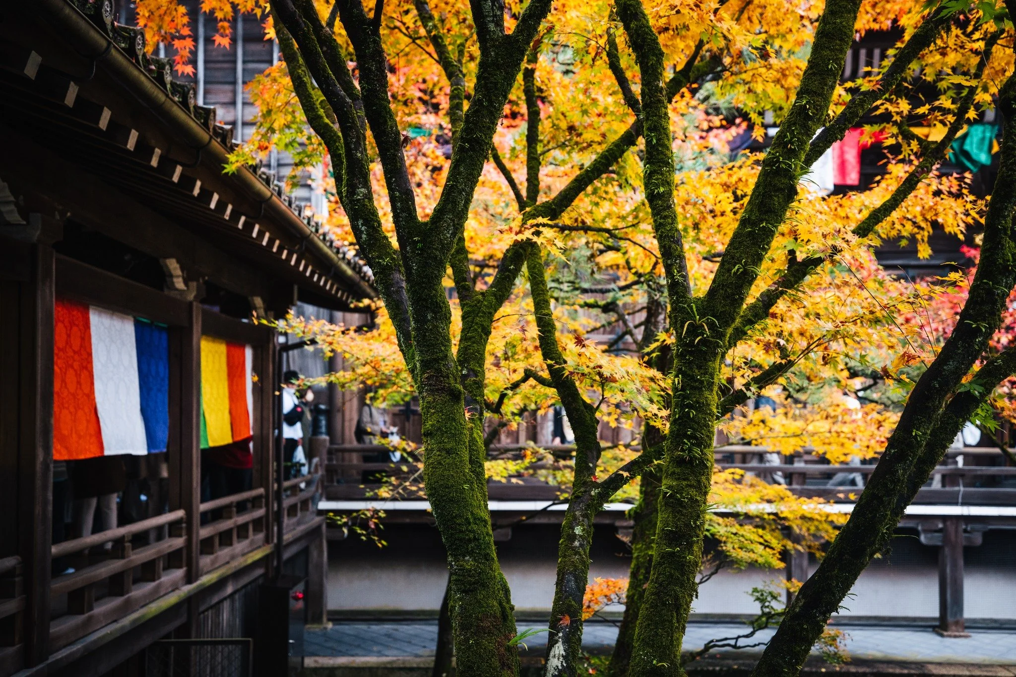 cityfoodsters-eikando-kyoto-japan-3.jpg