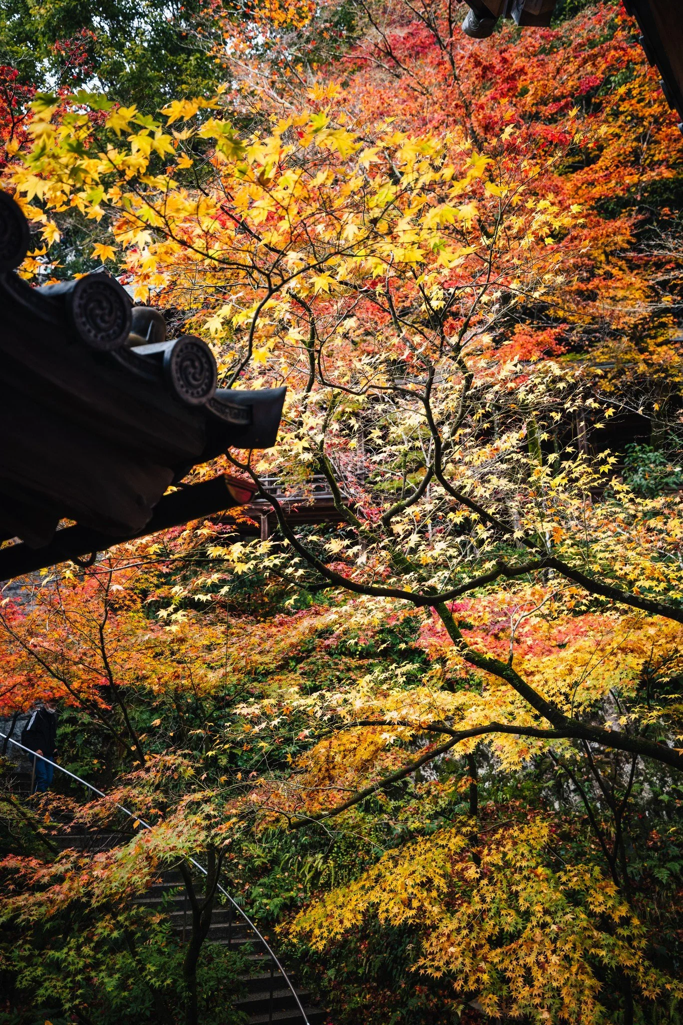 cityfoodsters-eikando-kyoto-japan-6.jpg