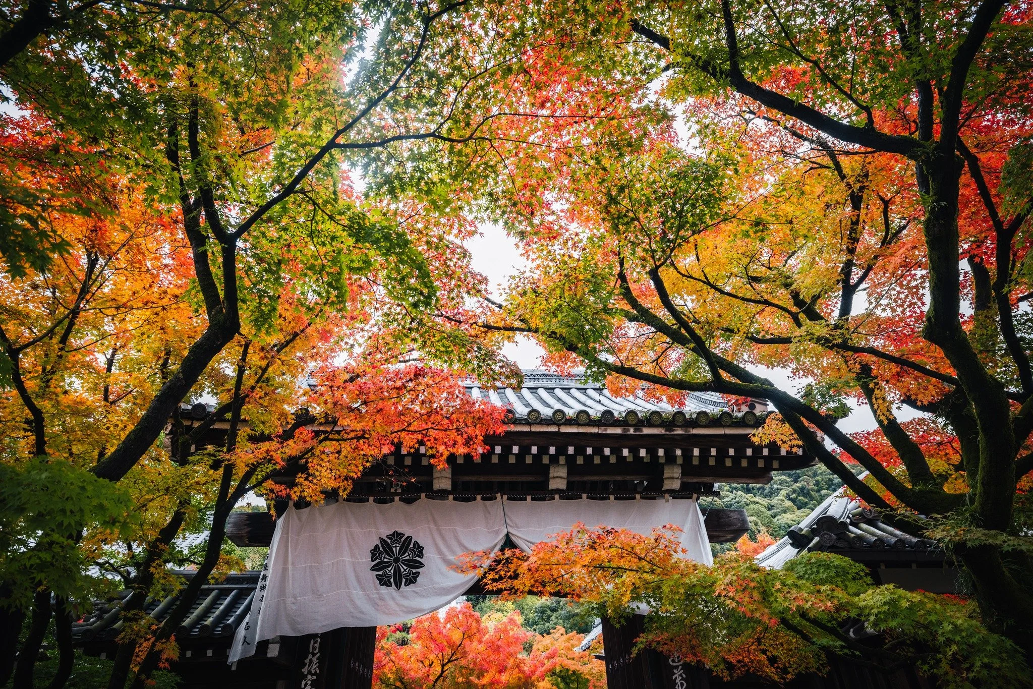 cityfoodsters-eikando-kyoto-japan-7.jpg
