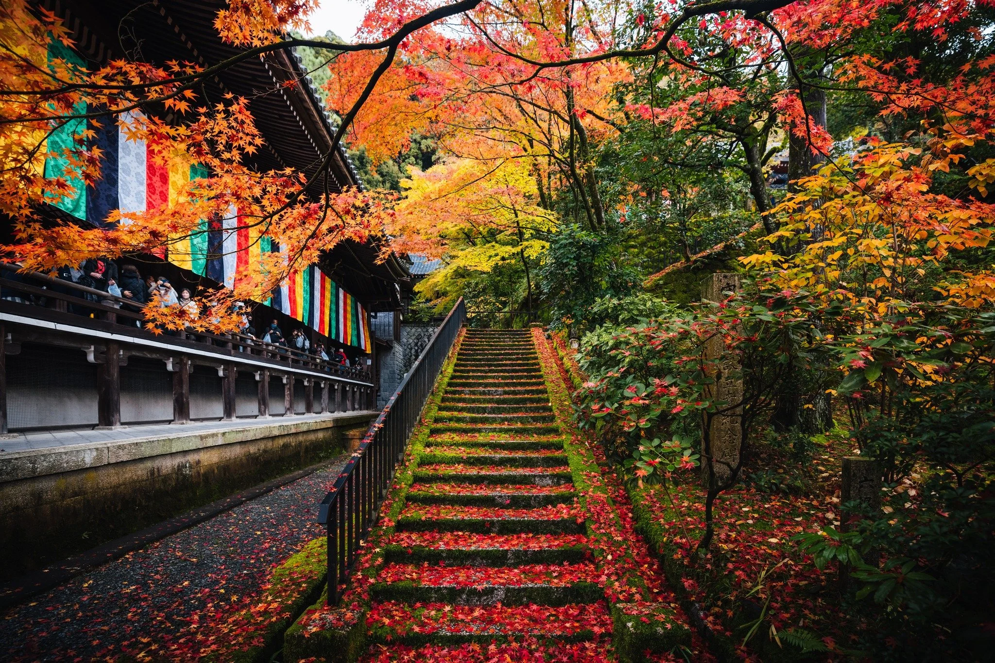 cityfoodsters-eikando-kyoto-japan-8.jpg