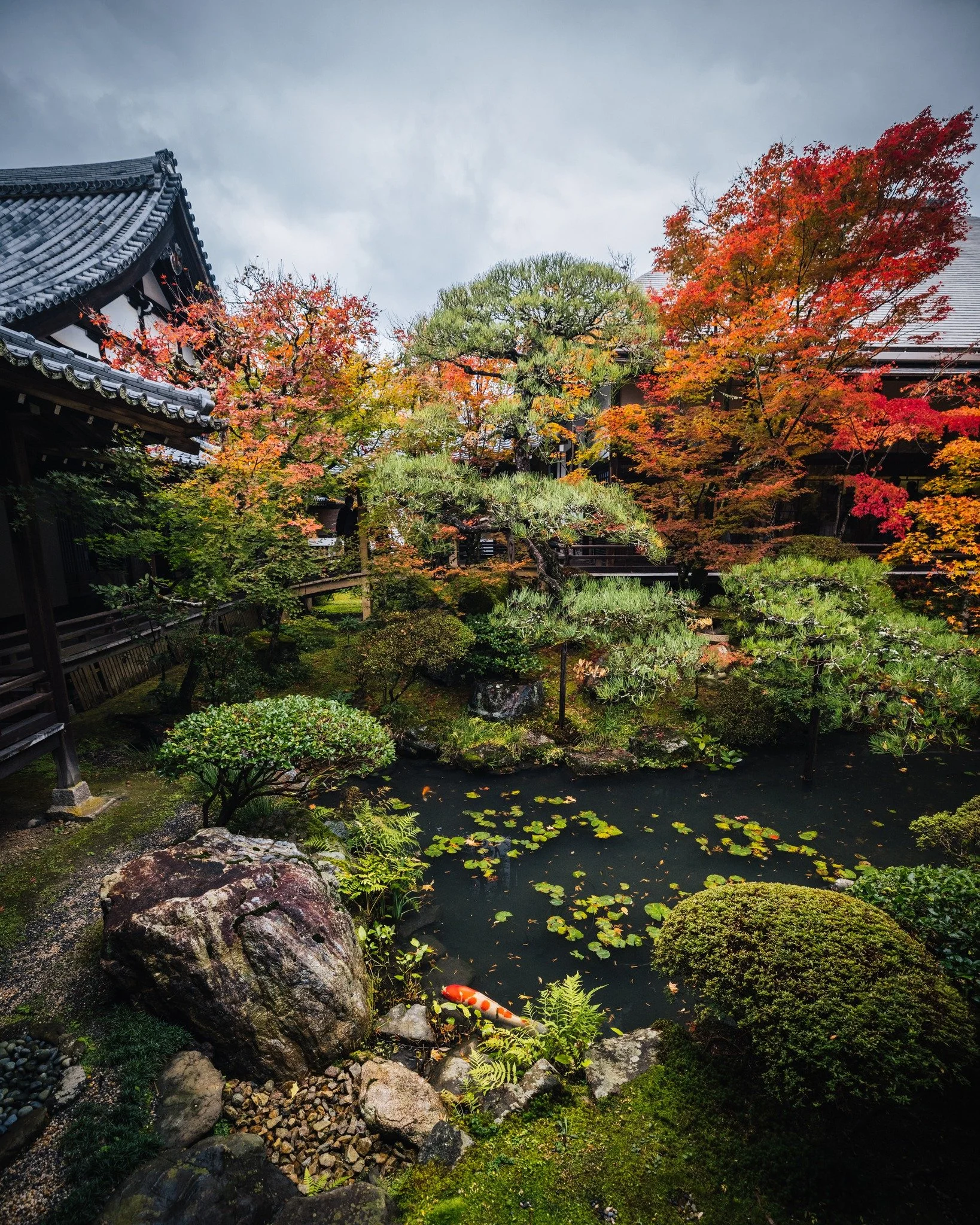cityfoodsters-eikando-kyoto-japan-11.jpg