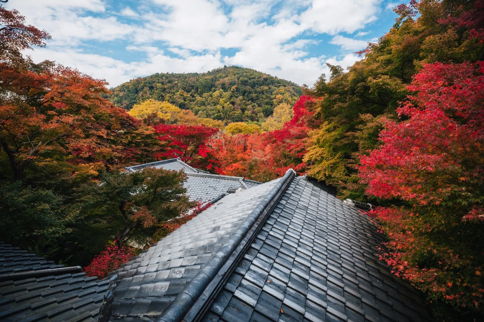 cityfoodsters-rurikoin-kyoto-japan-3.jpg