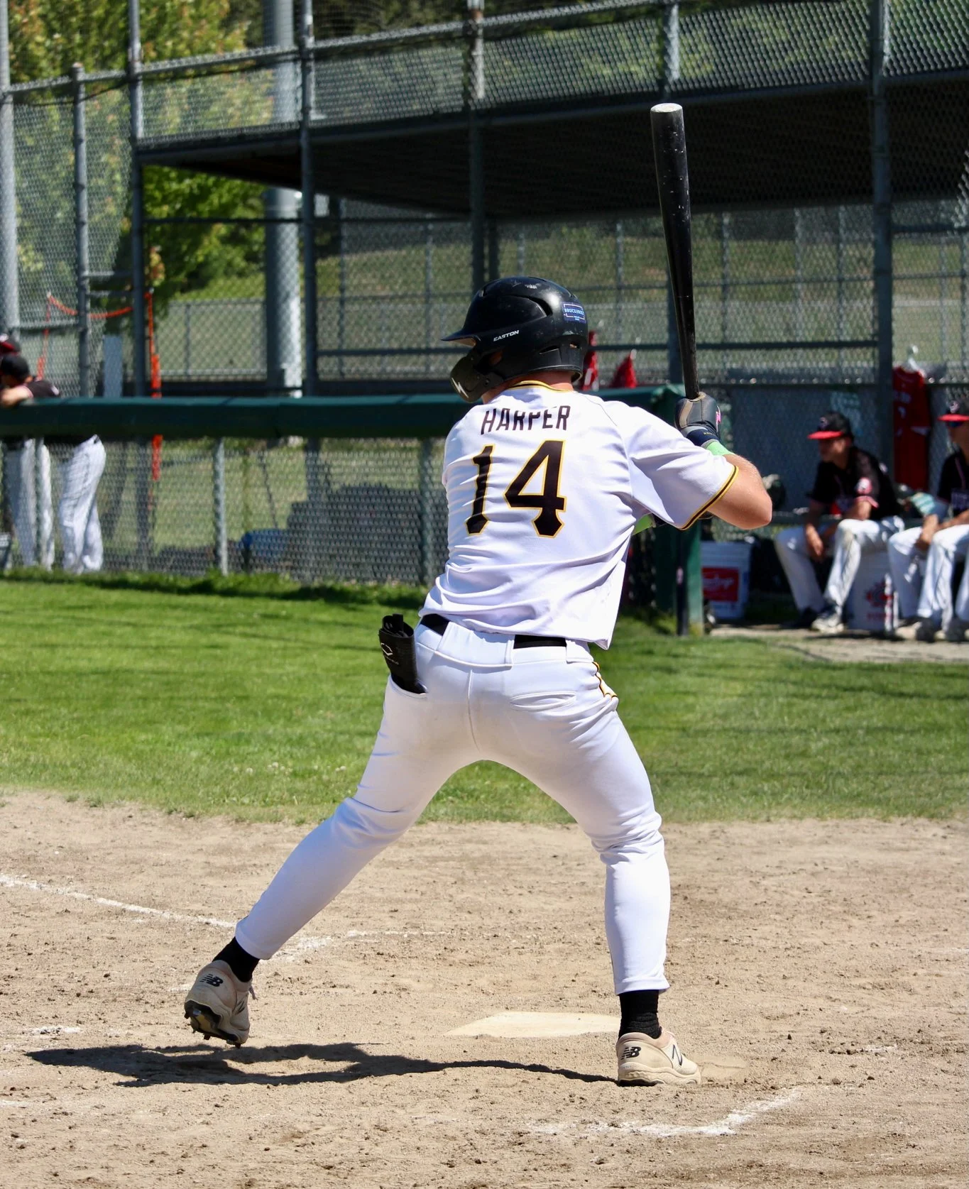 Payton - Hit.jpeg