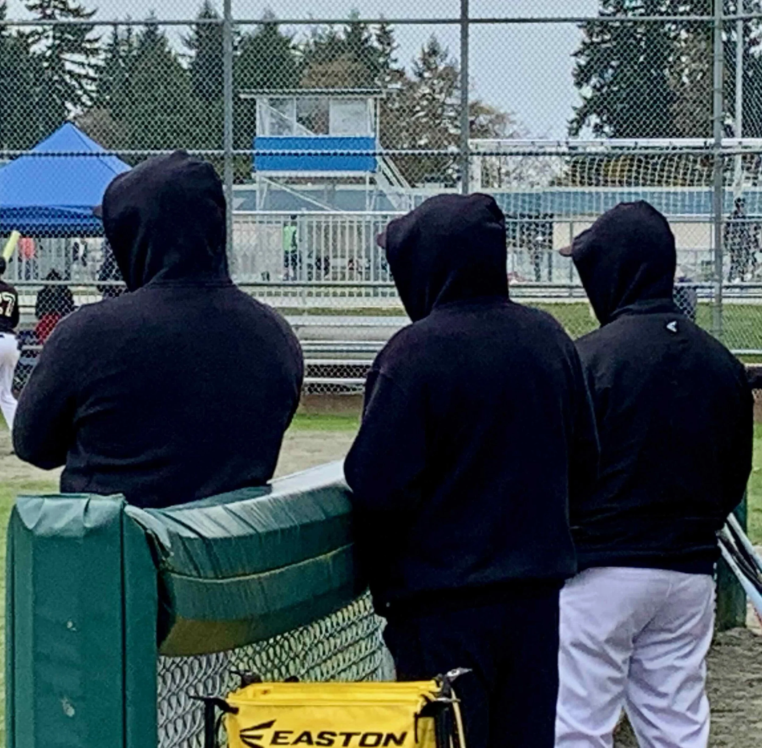 Coaches - Cold.jpeg