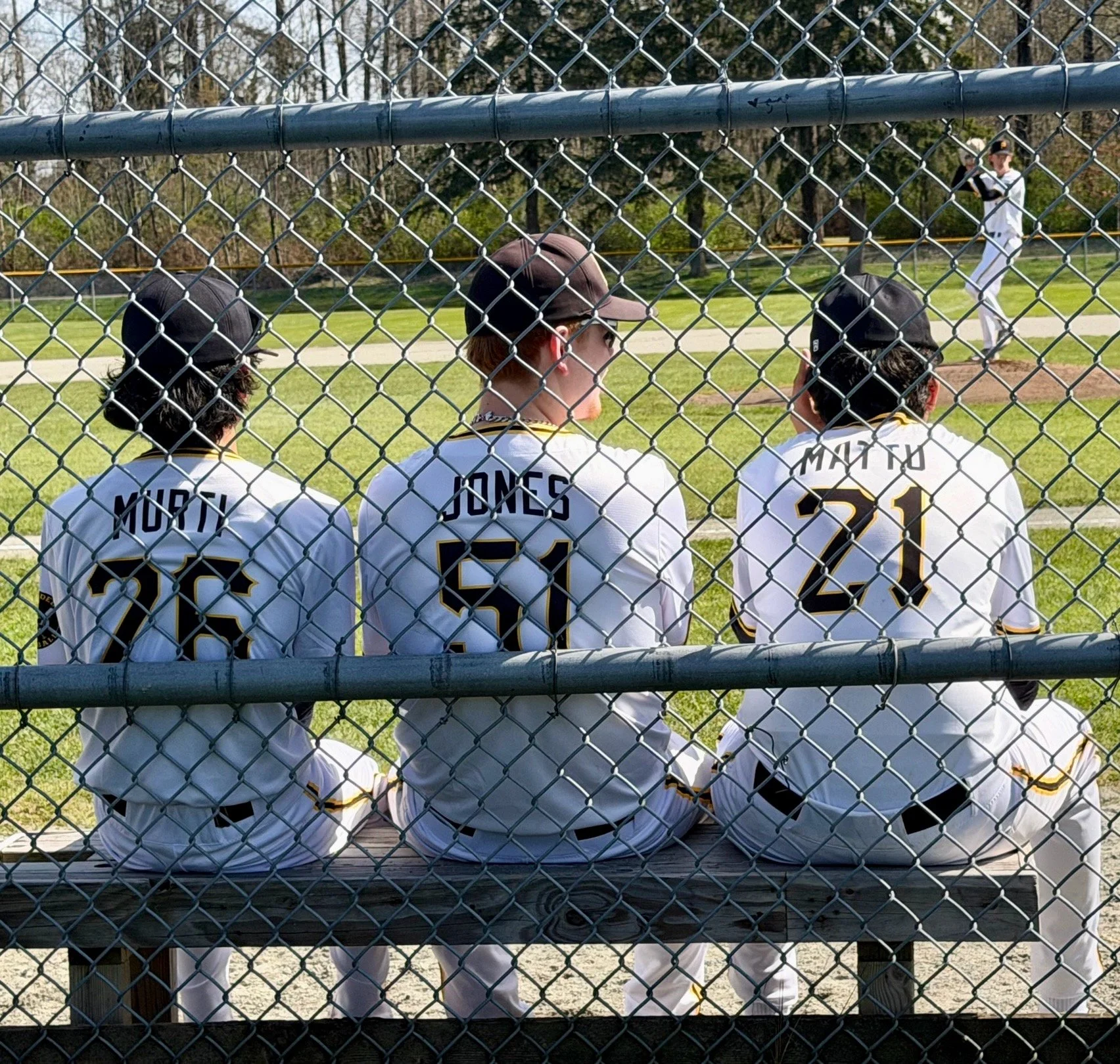 Eliaz, Liam, Calvin Bench.jpeg