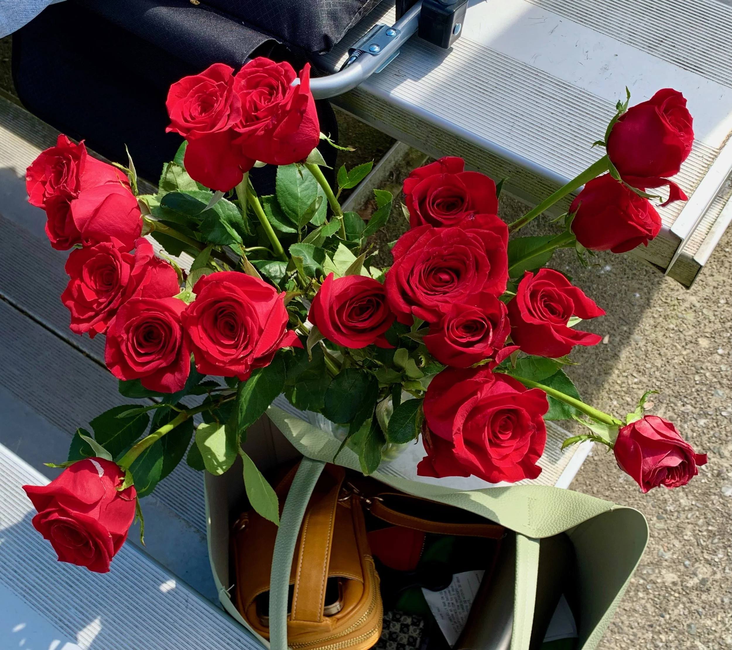 Roses - Mother's Day.jpeg