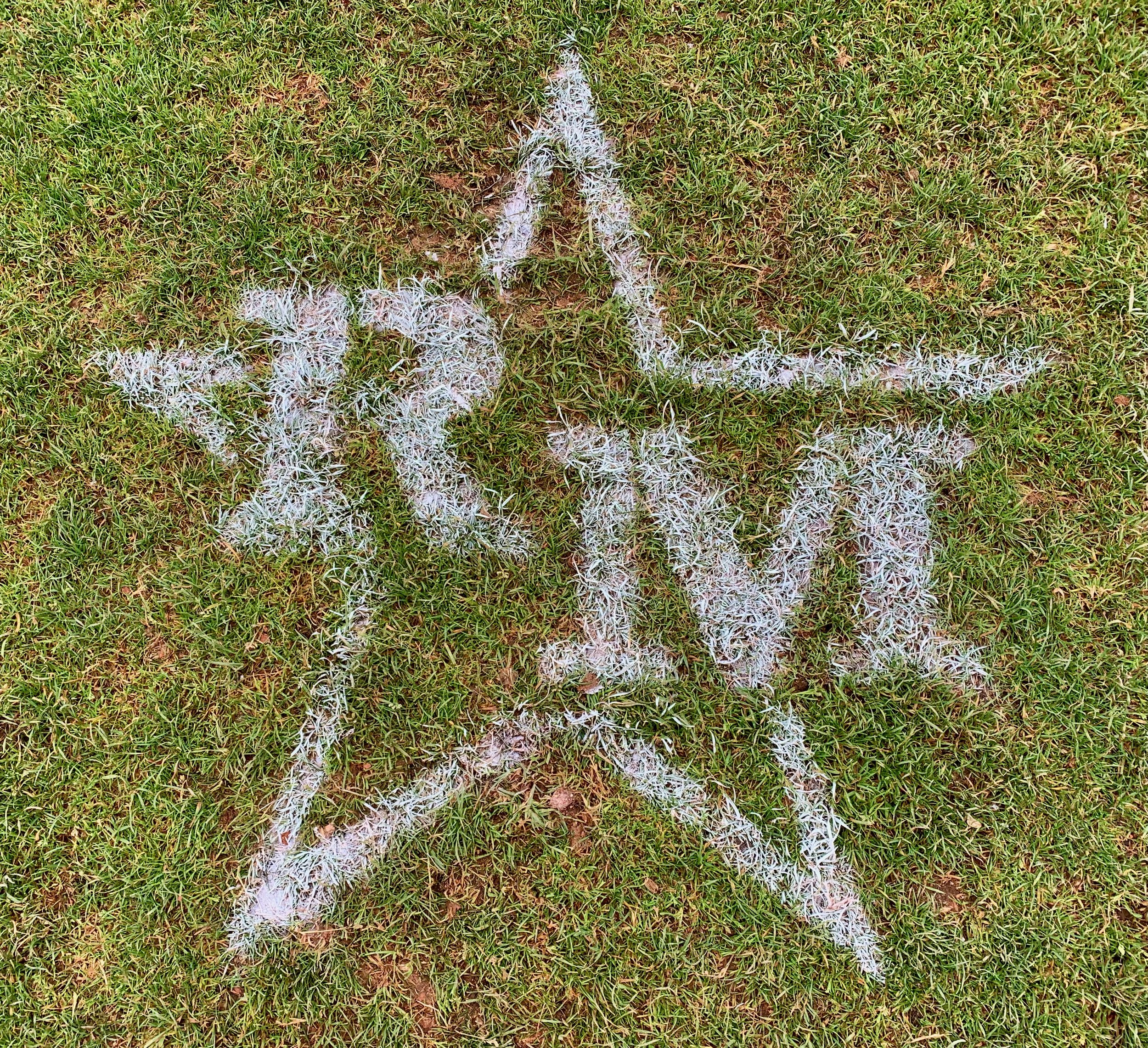 Ridge Meadows - Grass Emblem.jpeg