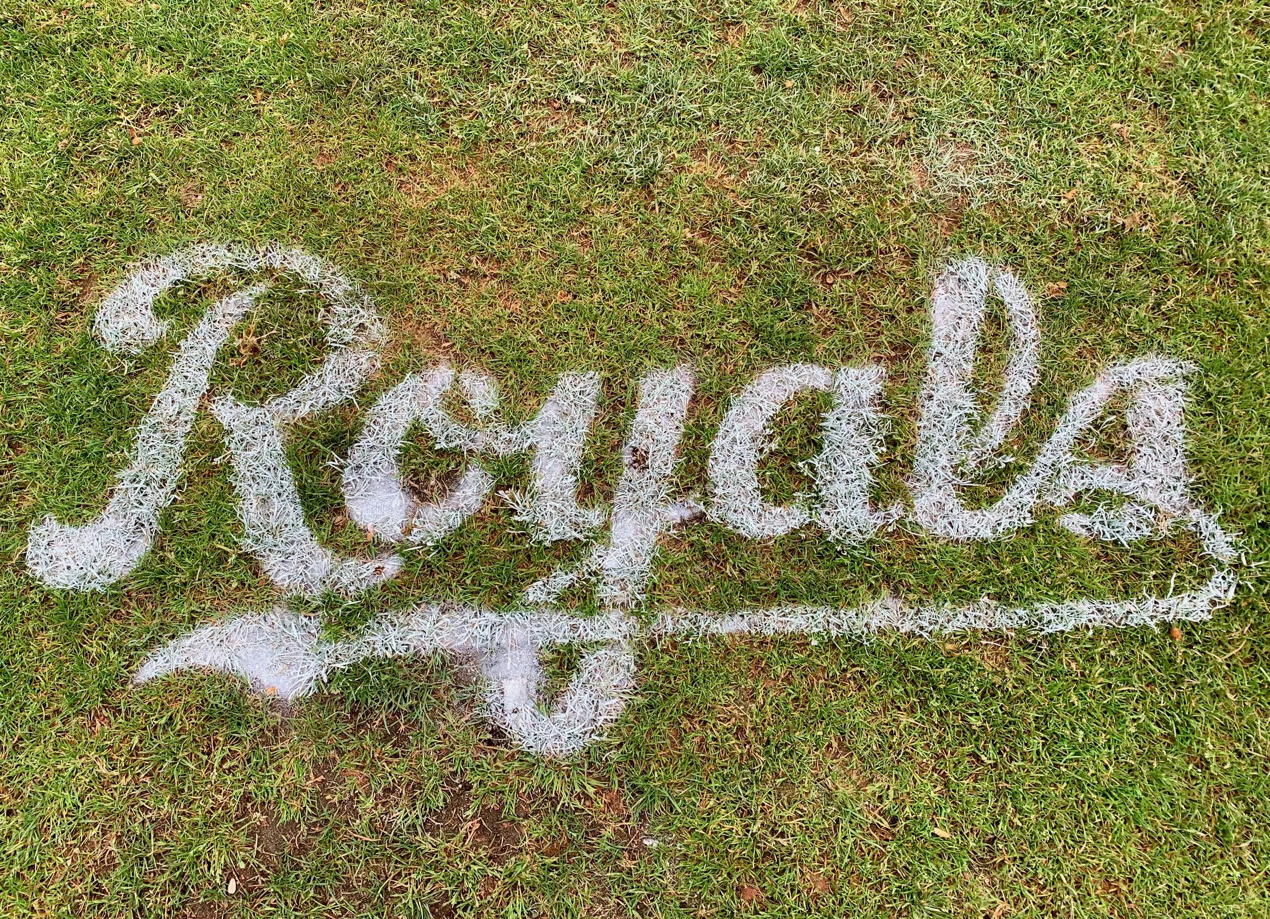 Ridge Meadows - Grass Wordmark.jpeg