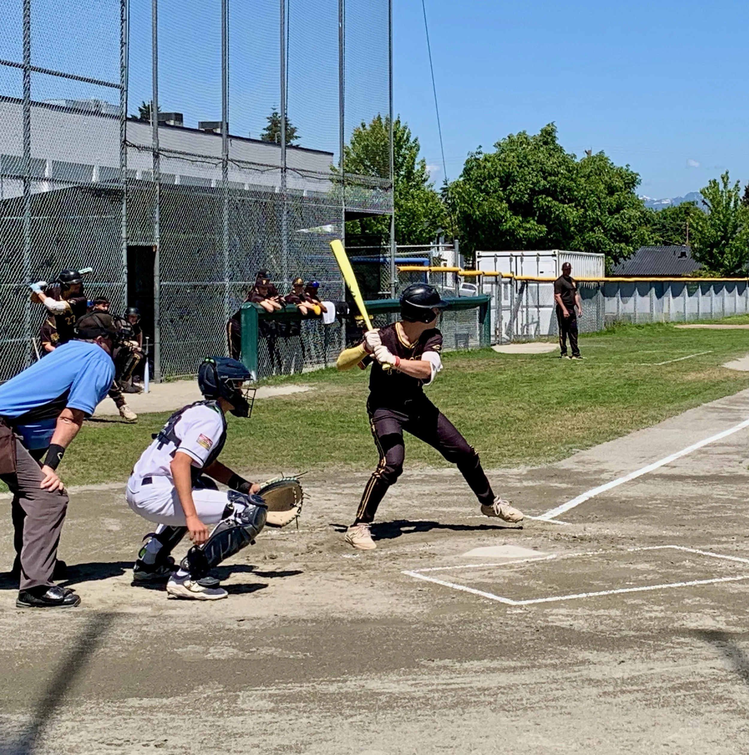 Payton - Hit.jpeg