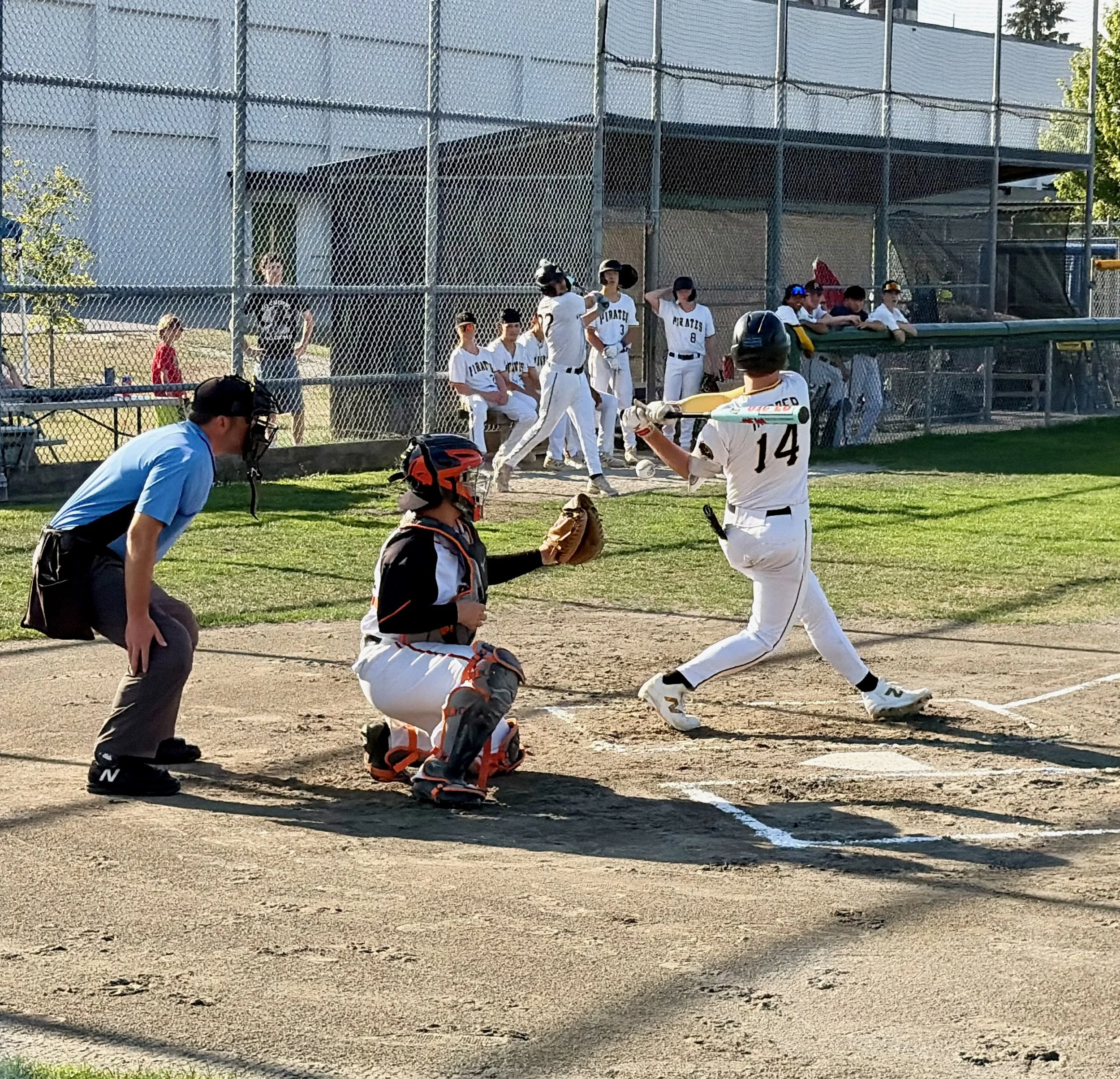 Payton - Hit.jpeg
