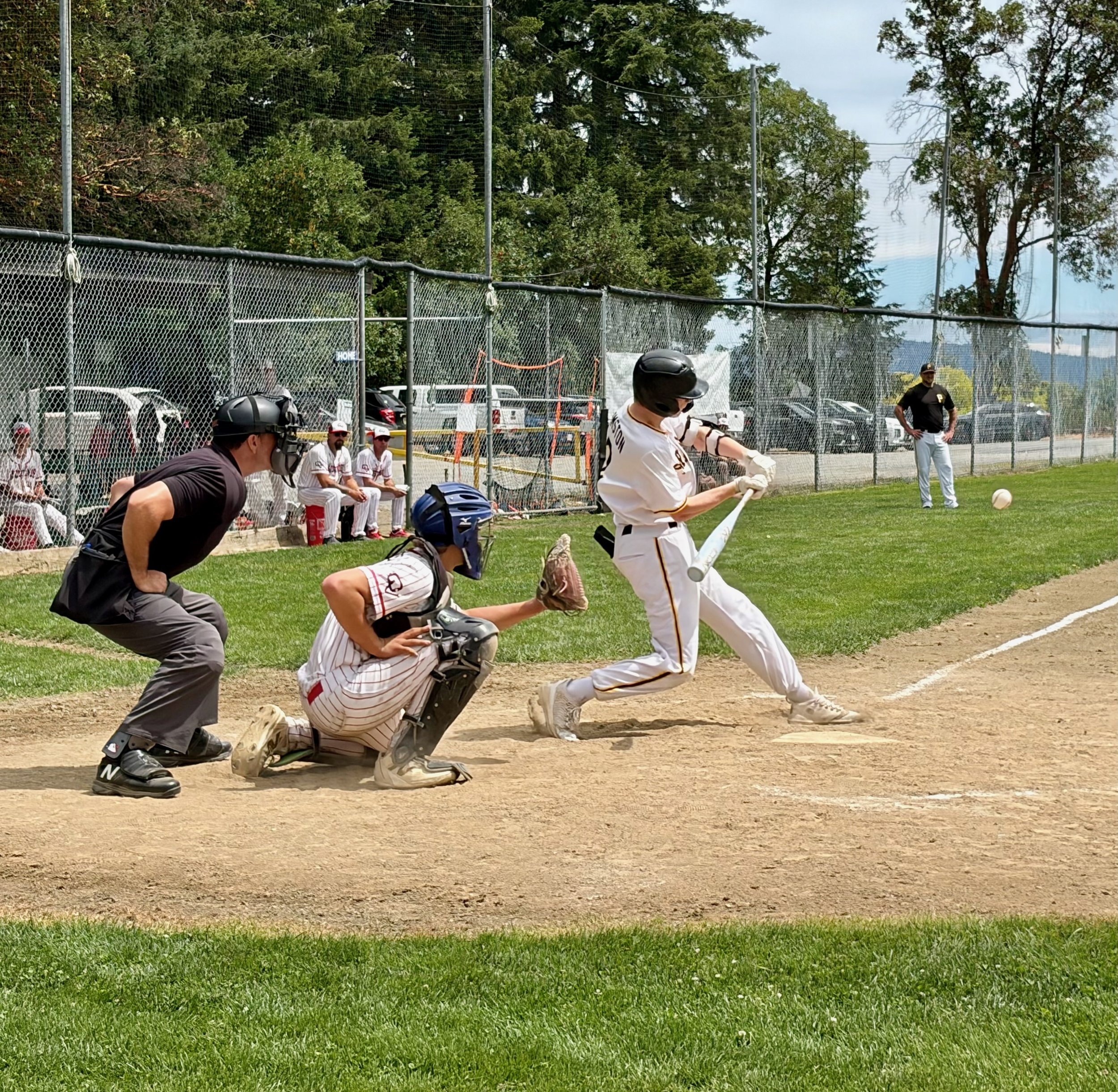 Scott - Hit.jpeg