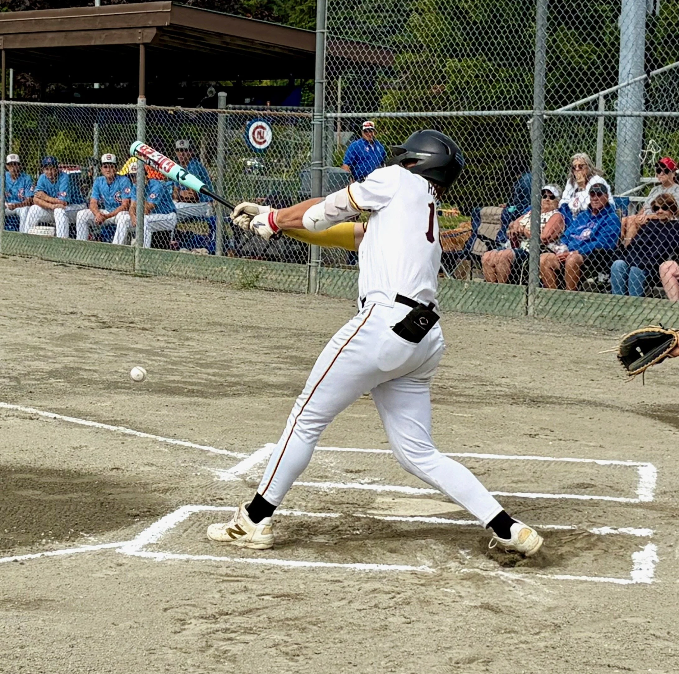 Payton - Hit.jpeg