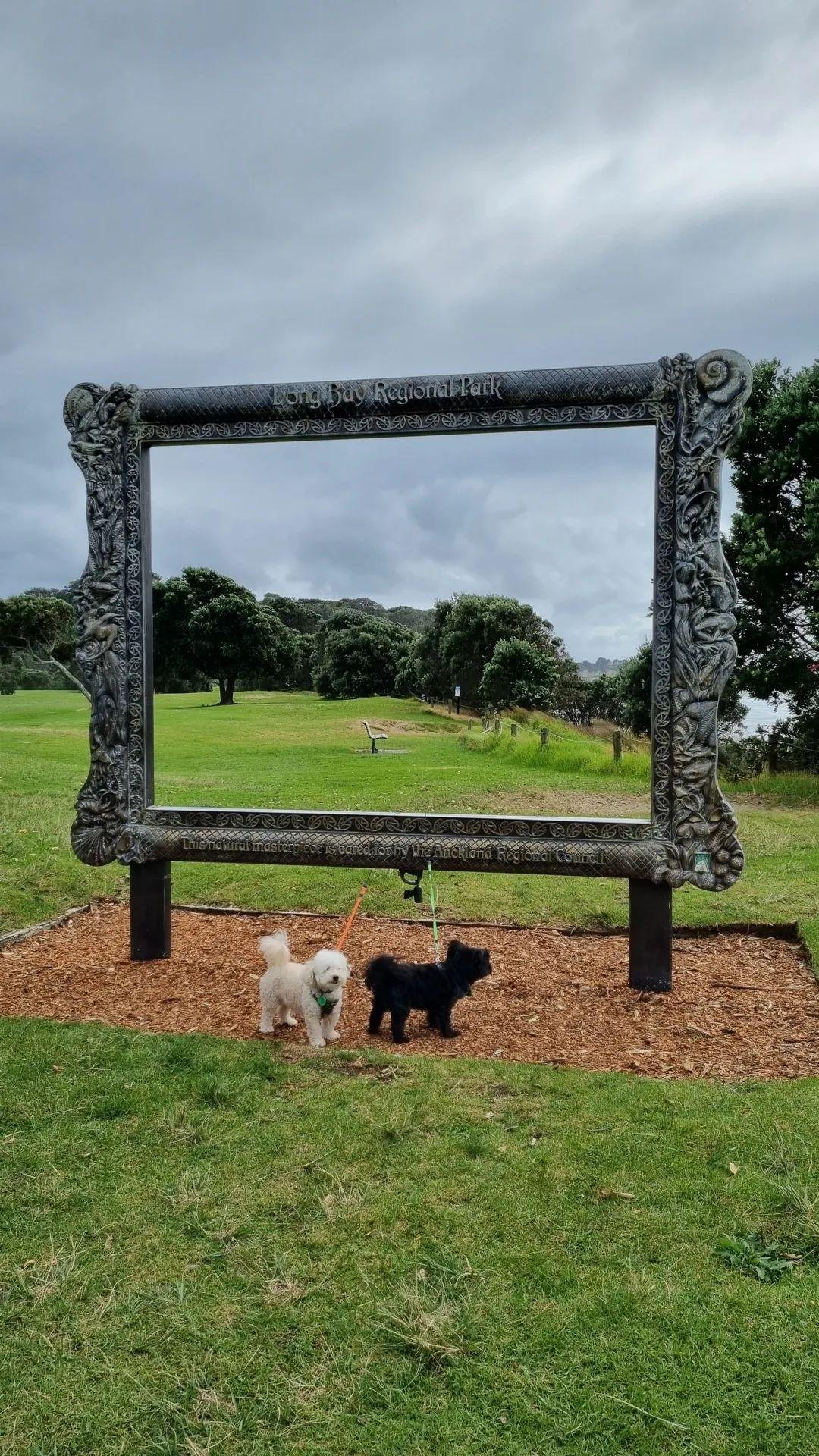 Two small dogs stand in front of a large decorative frame at Long Bay Regional Park, with lush greenery and trees in the background, and a park bench visible on the grass.