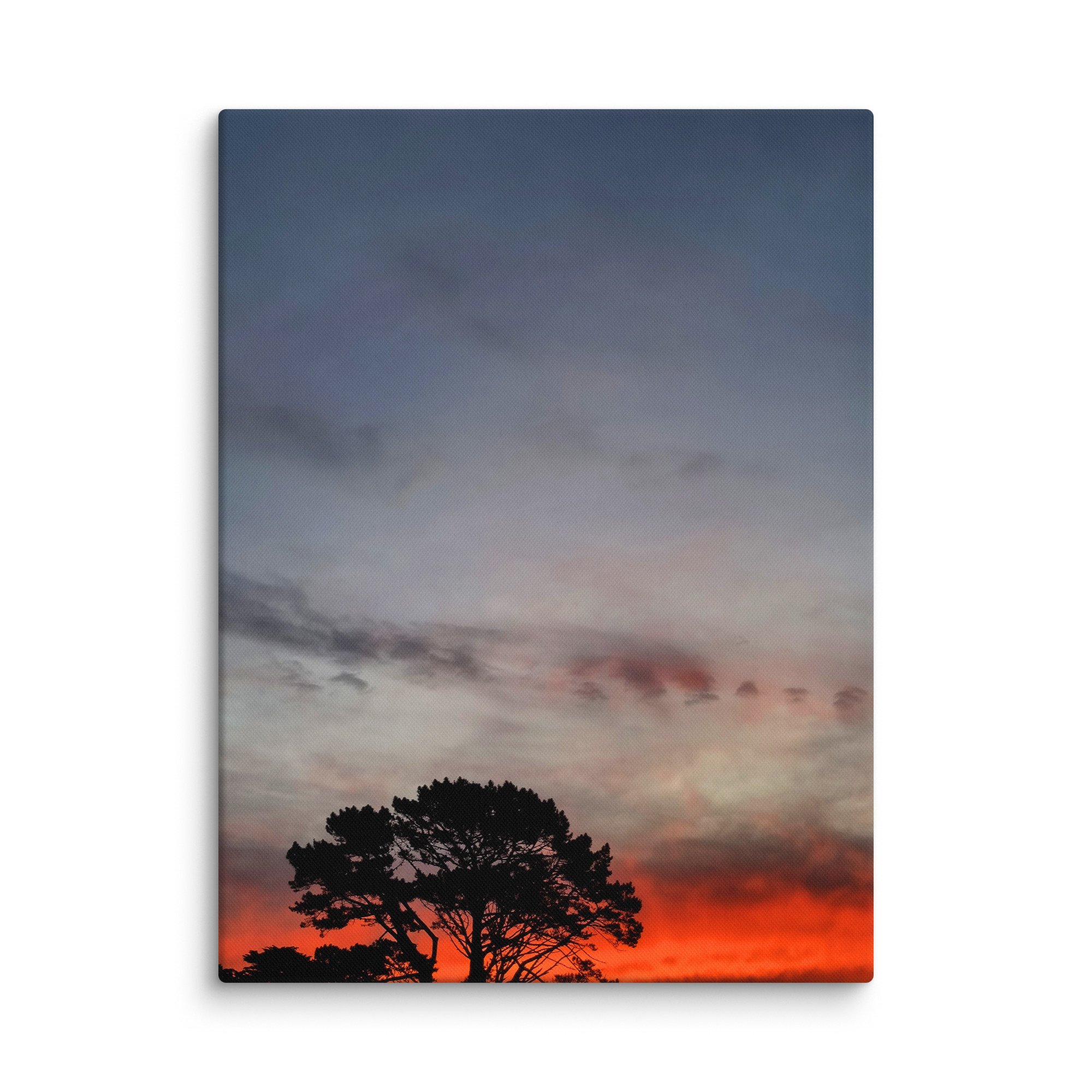 canvas-(in)-18x24-wall-66d643a67b12b.jpg