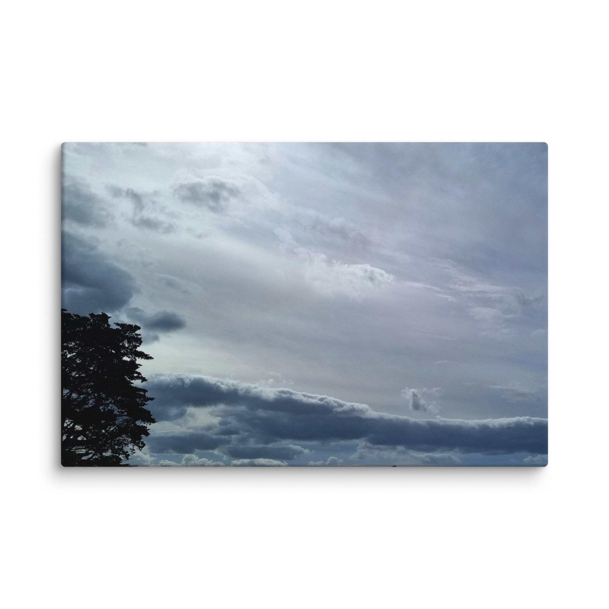 canvas-(in)-24x36-wall-66d64e9b9c36e.jpg