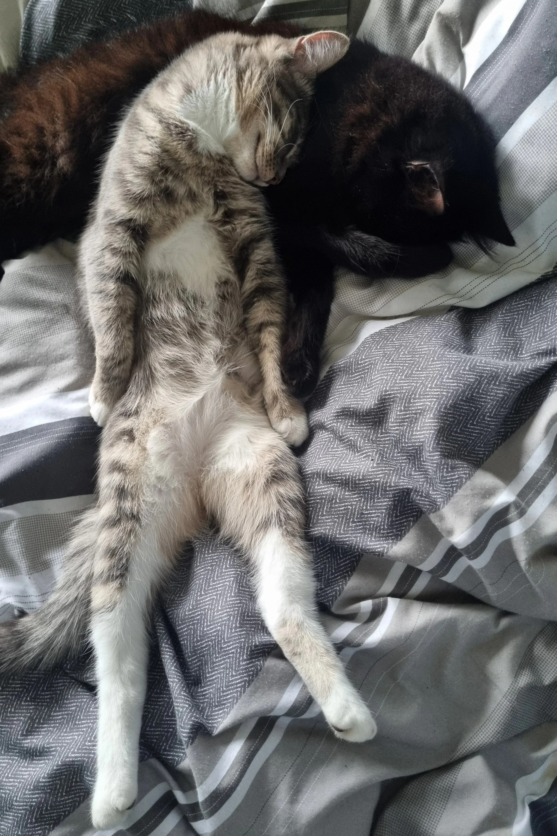 1000065319.jpg (Copy)