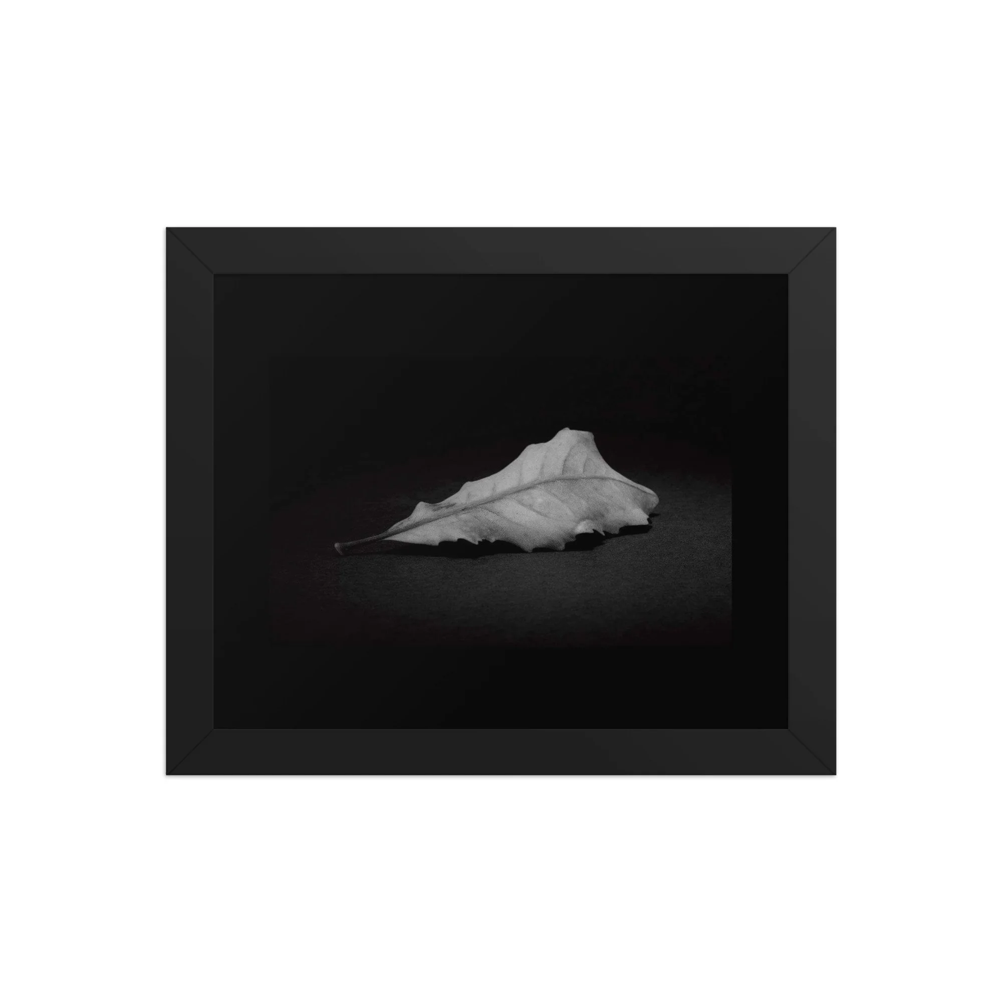 premium-luster-photo-paper-framed-poster-(in)-black-8x10-front-69e8004bbcac5.jpg