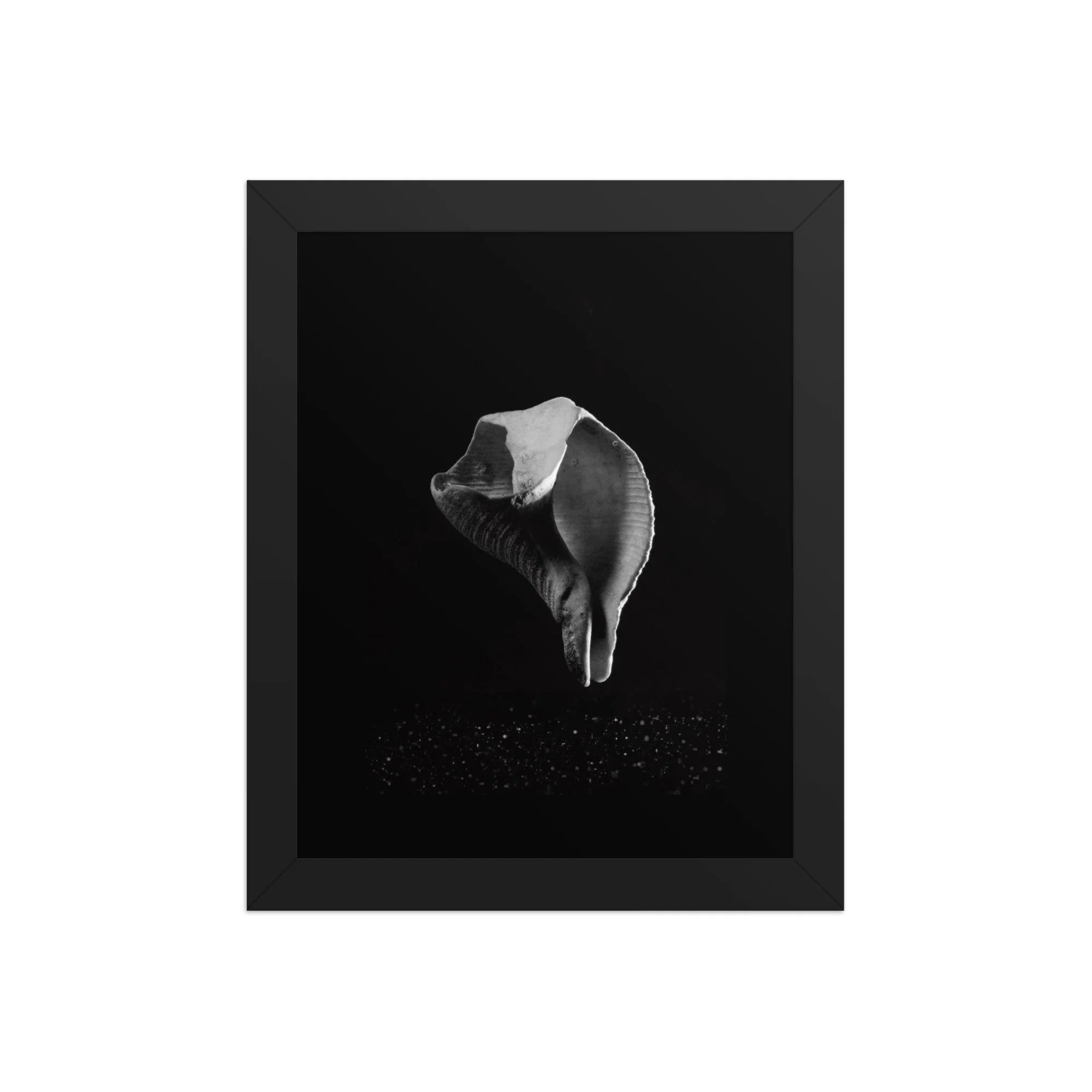 premium-luster-photo-paper-framed-poster-(in)-black-8x10-front-69e8006e03357.jpg