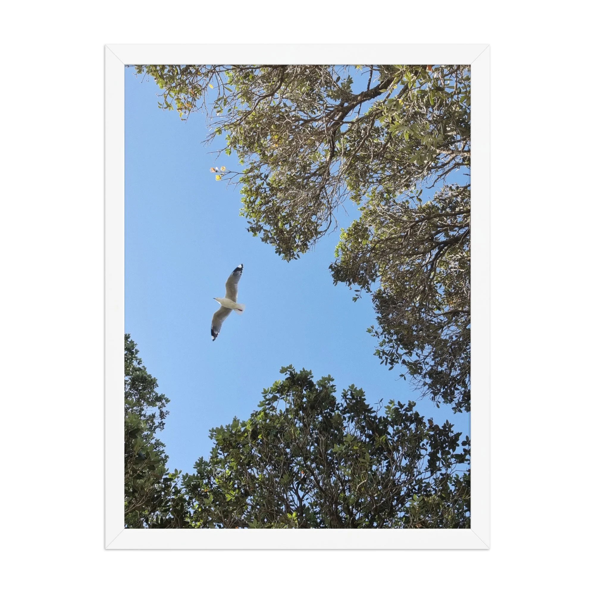 premium-luster-photo-paper-framed-poster-(in)-white-18x24-front-69e810b3d4b71.jpg
