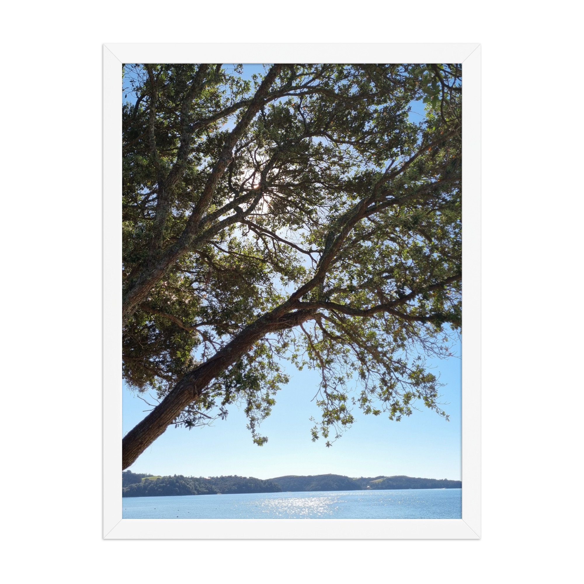 premium-luster-photo-paper-framed-poster-(in)-white-18x24-front-69e81195204ee.jpg