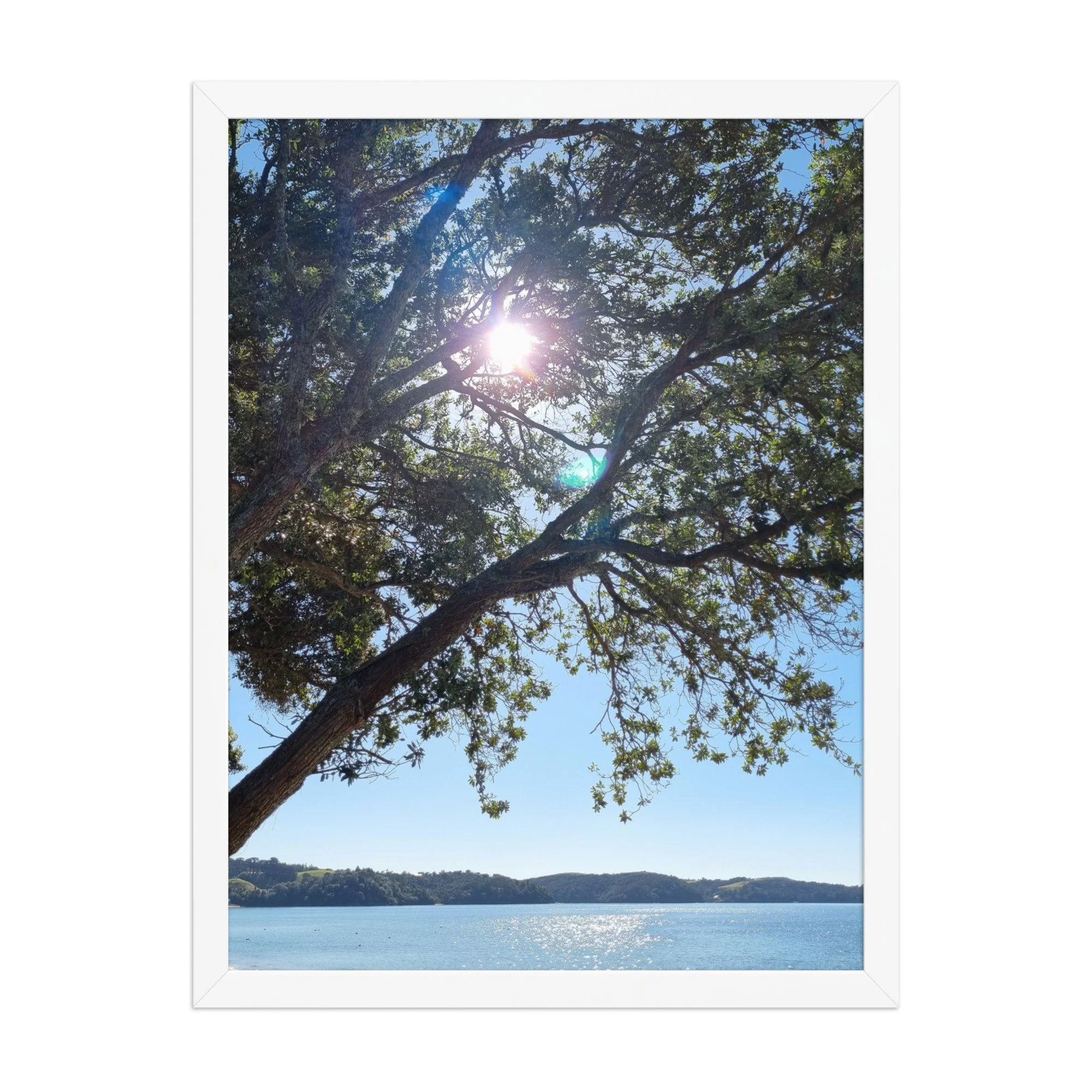 premium-luster-photo-paper-framed-poster-(in)-white-18x24-front-69e811bf4605f.jpg