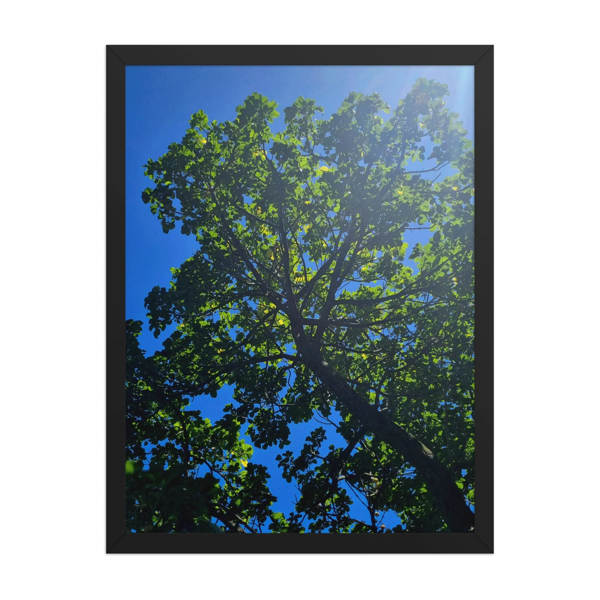 premium-luster-photo-paper-framed-poster-(in)-black-18x24-front-69e82a5b38d8e.jpg