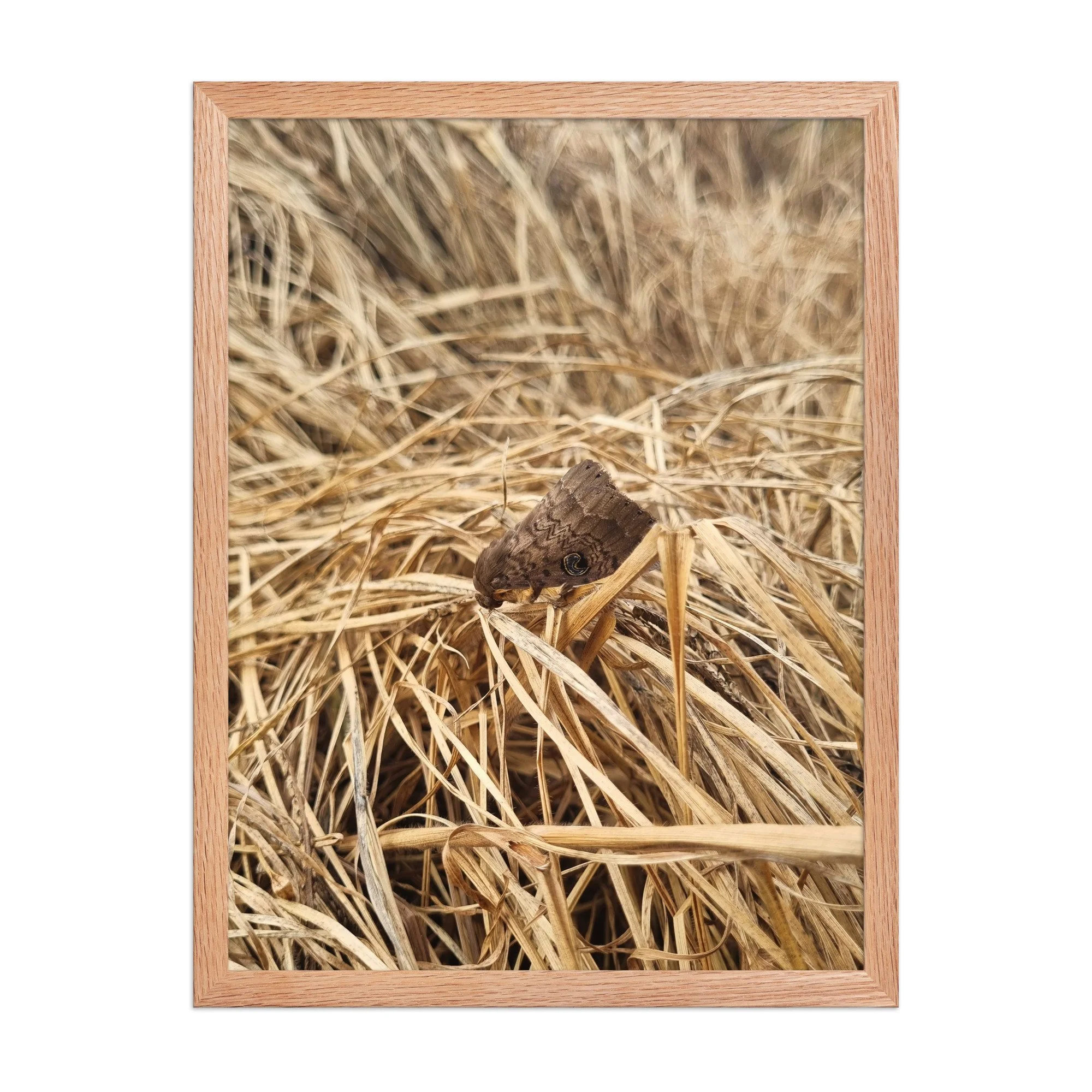premium-luster-photo-paper-framed-poster-(in)-red-oak-18x24-front-69e841161d614.jpg