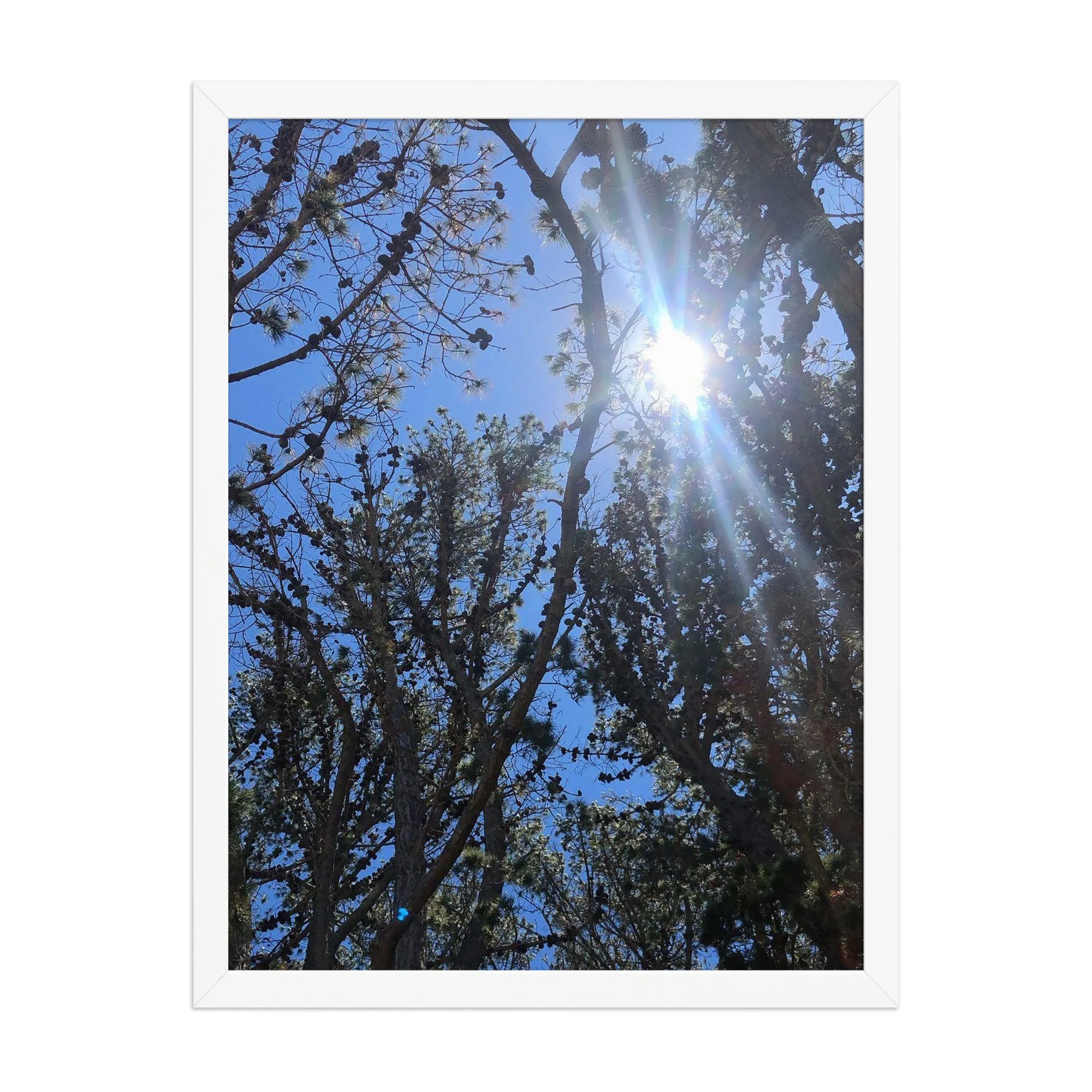 premium-luster-photo-paper-framed-poster-(in)-white-18x24-front-69ead126f28cf.jpg