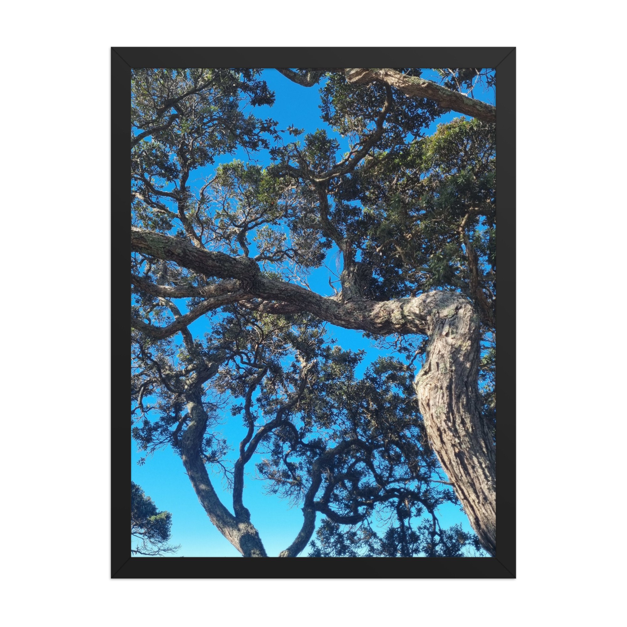 premium-luster-photo-paper-framed-poster-(in)-black-18x24-front-69ead1658df73.jpg
