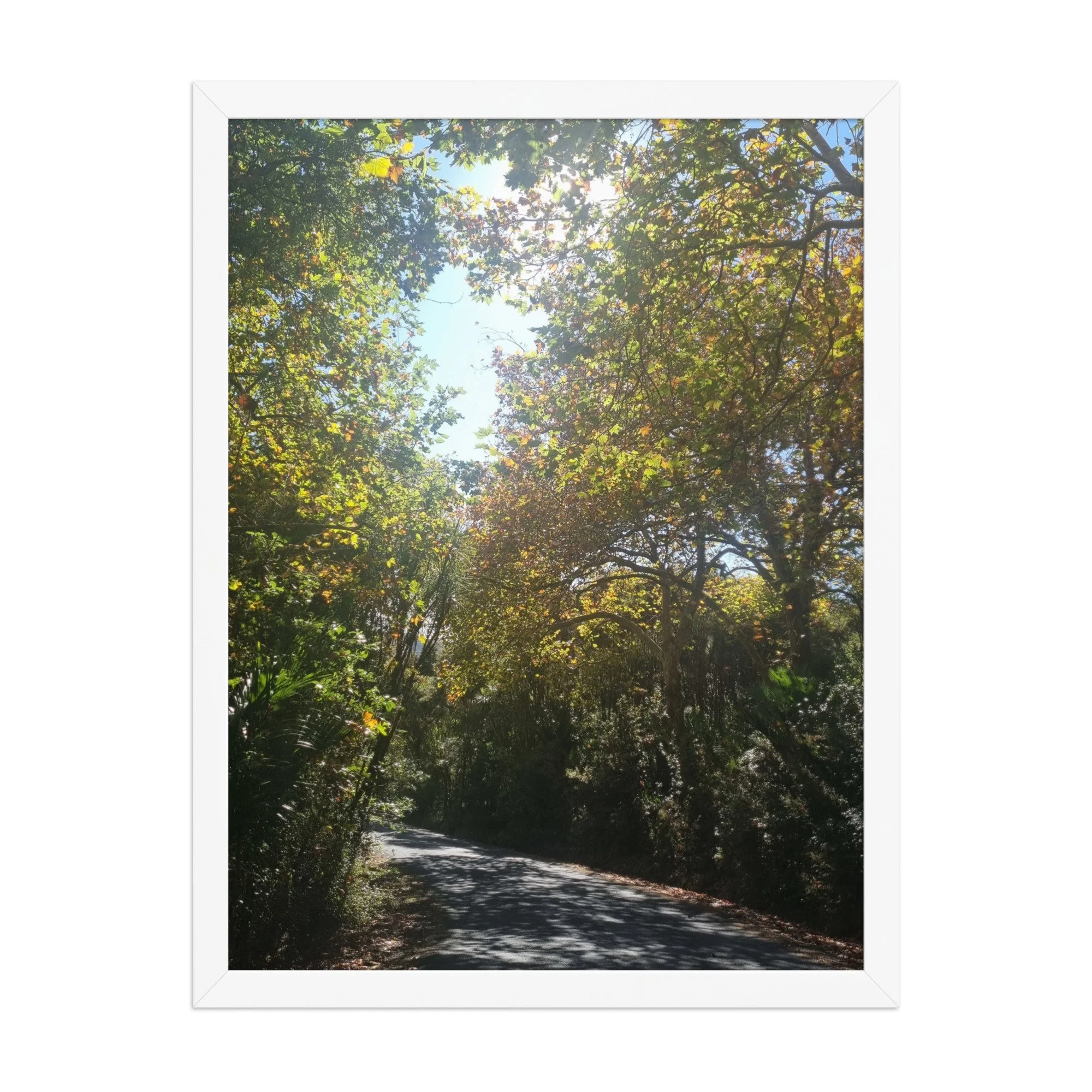 premium-luster-photo-paper-framed-poster-(in)-white-18x24-front-69ead7e98d7aa.jpg