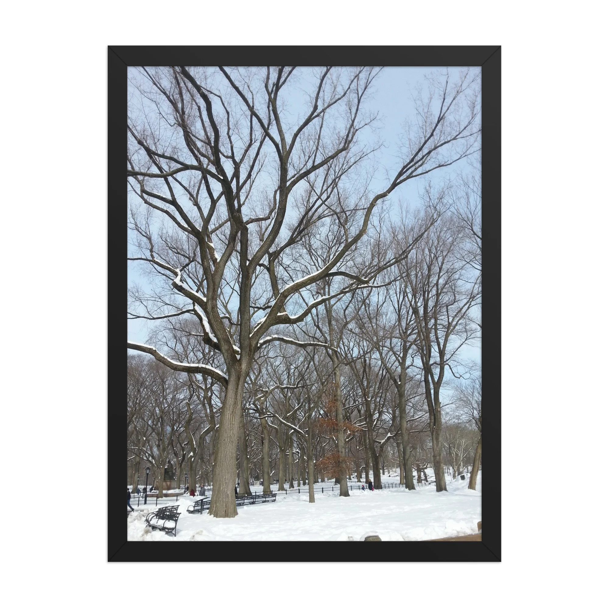 premium-luster-photo-paper-framed-poster-(in)-black-18x24-front-69eadf28c868f.jpg