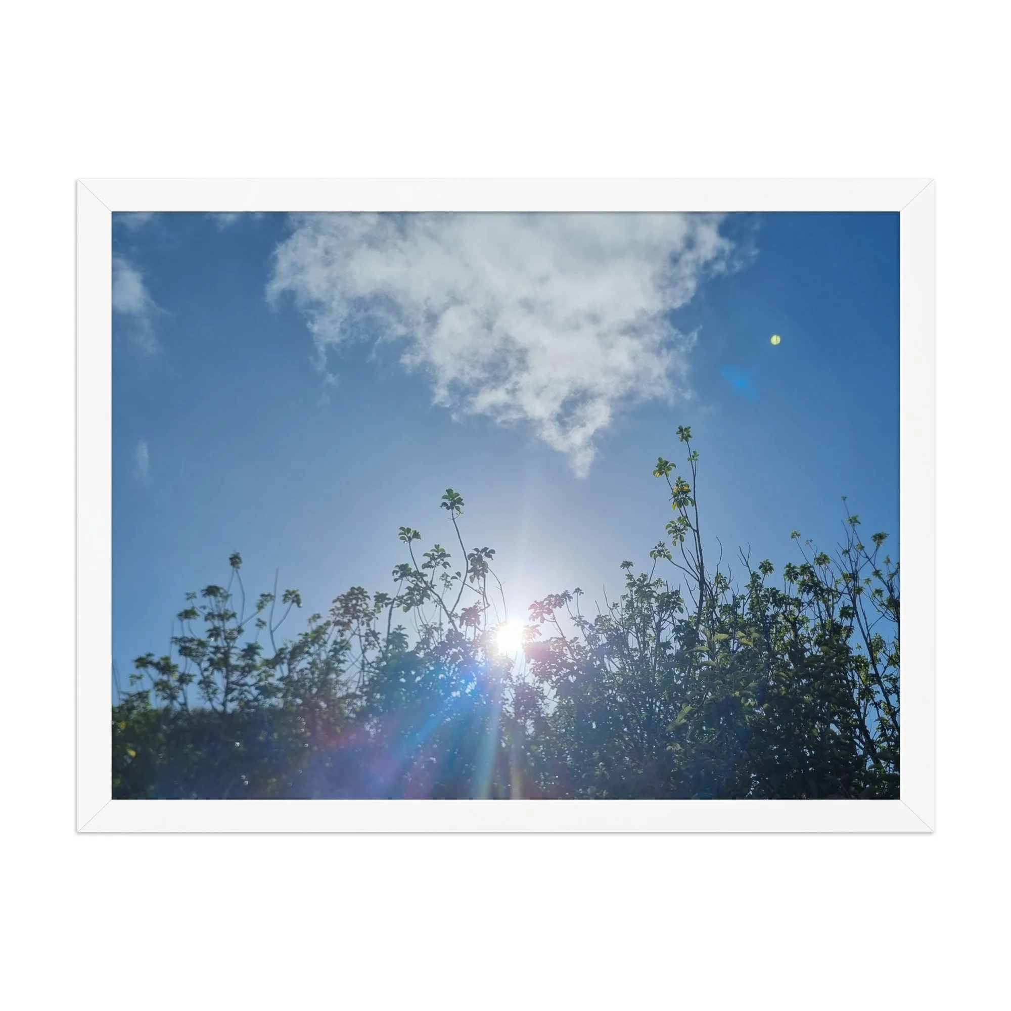 premium-luster-photo-paper-framed-poster-(in)-white-18x24-front-69eaef86cf06c.jpg