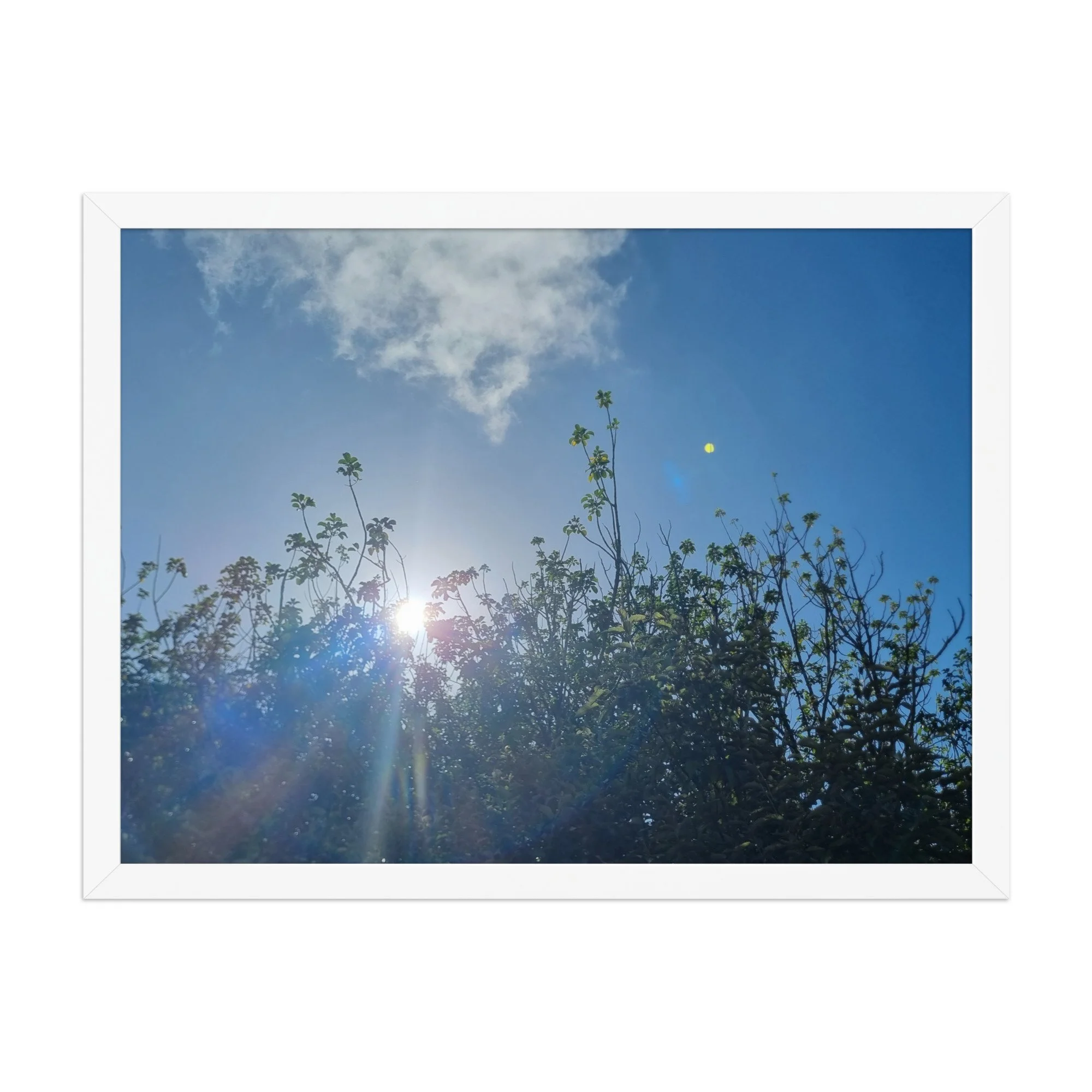 premium-luster-photo-paper-framed-poster-(in)-white-18x24-front-69eafe565de99.jpg