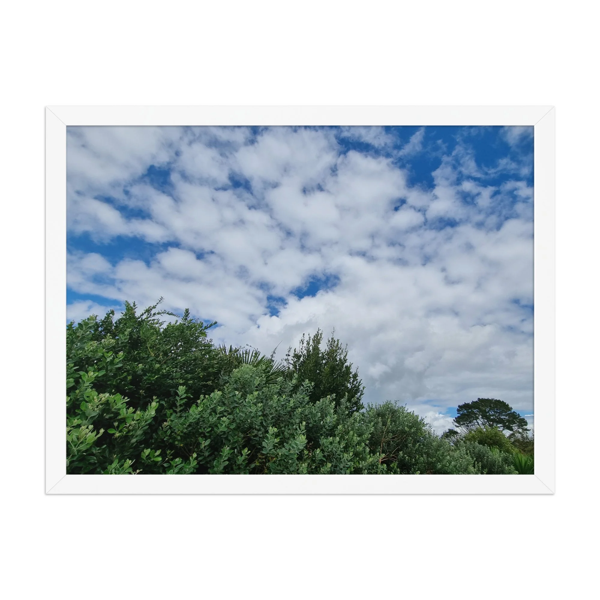 premium-luster-photo-paper-framed-poster-(in)-white-18x24-front-69eb0e201a458.jpg